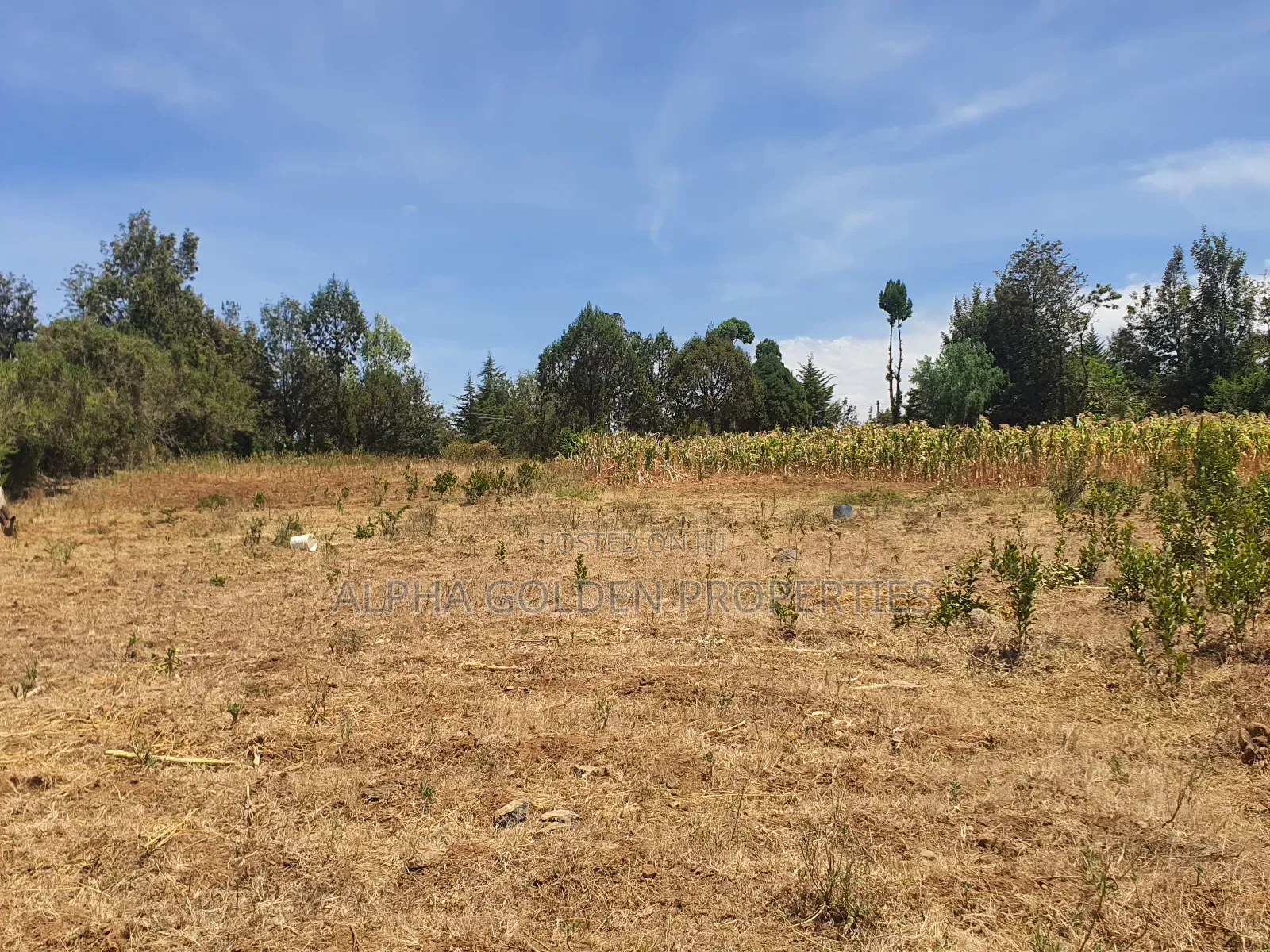 Mukima 2 Acres on Sale in Nanyuki