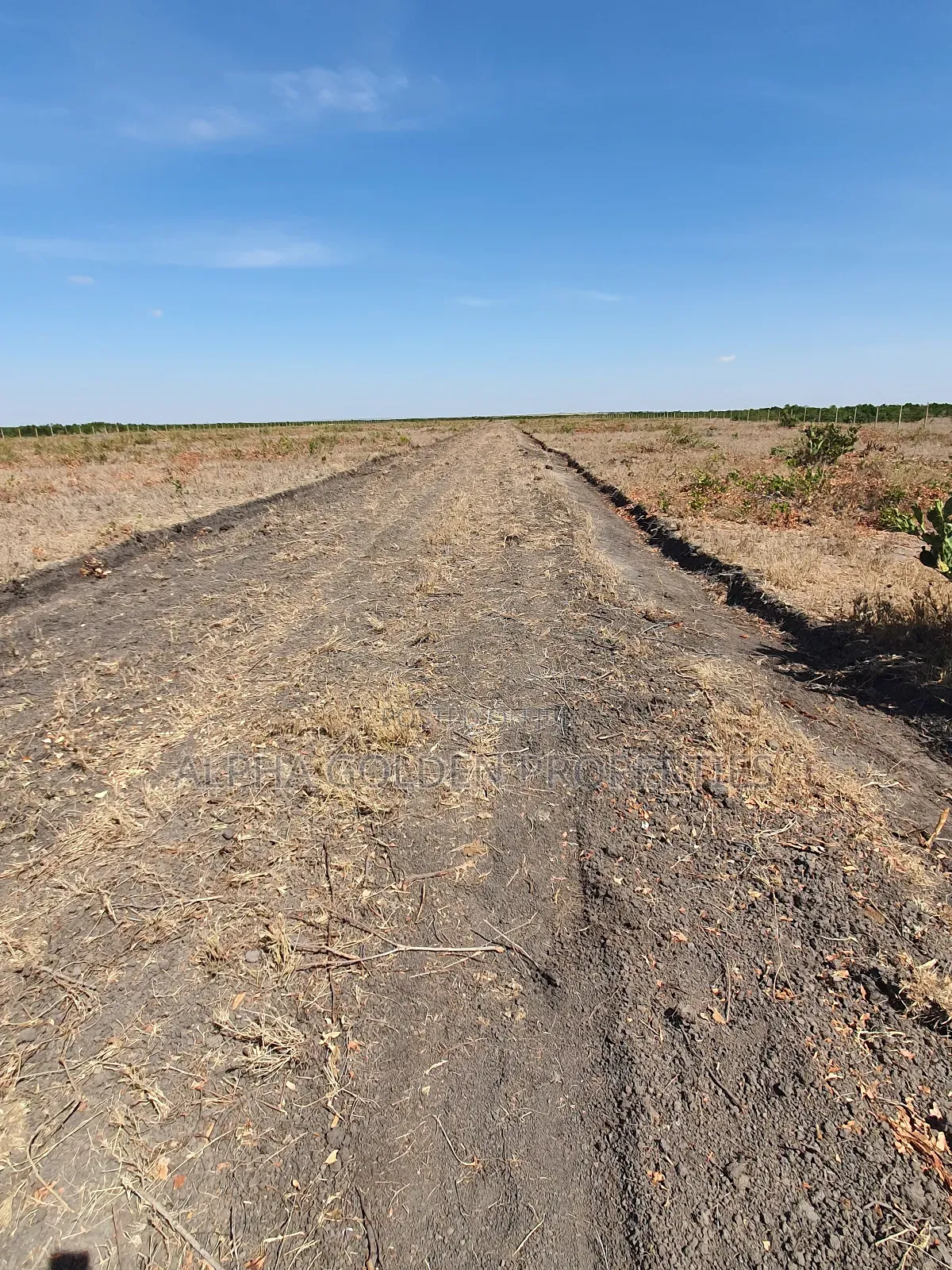 Plots for Sale in Kariunga in Nanyuki