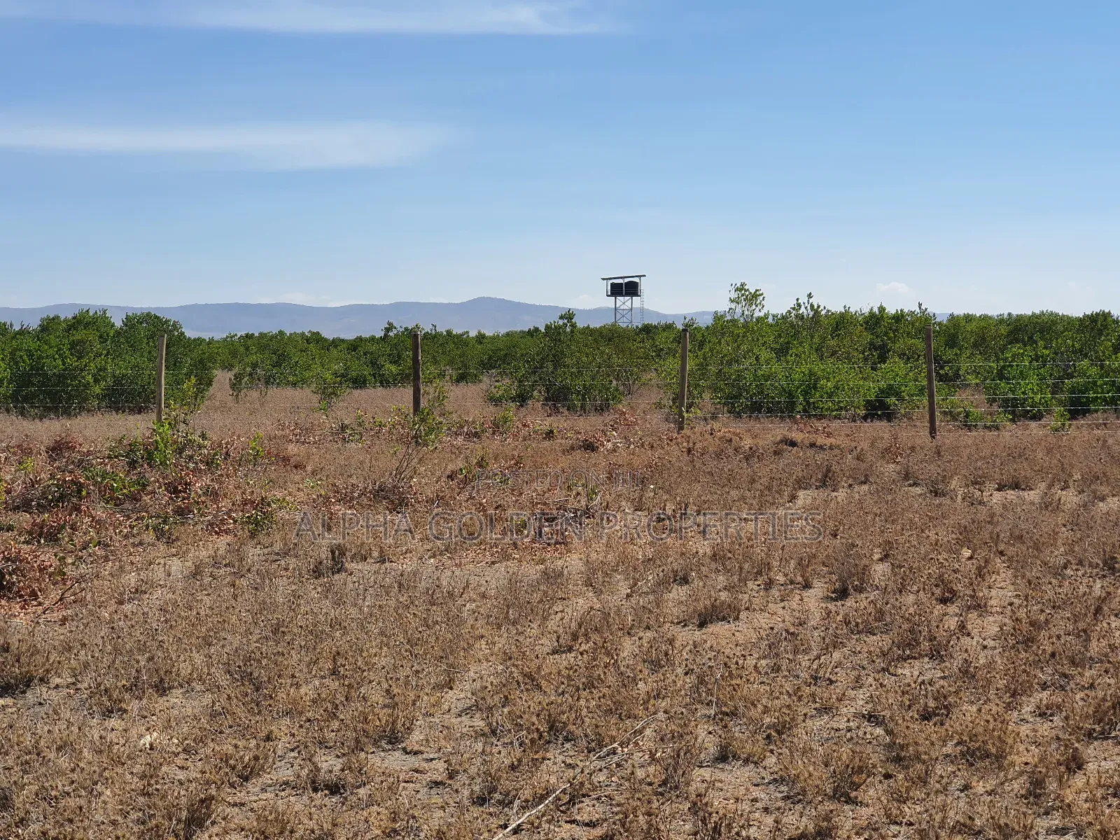 Plots for Sale in Kariunga in Nanyuki