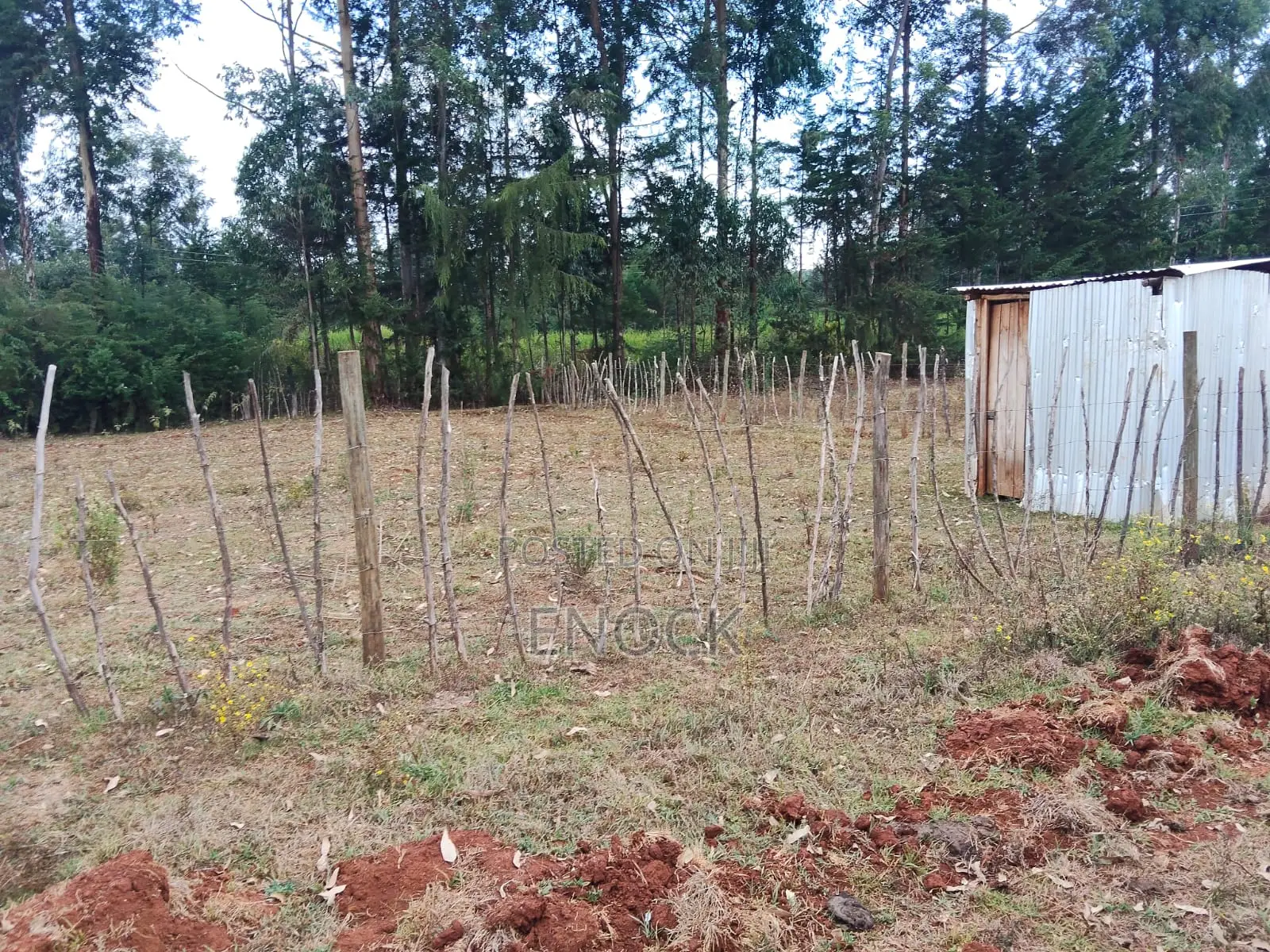 3 (1⁄8s ) Plot for Sale in Kipkenyo Mokombet in Kipkenyo