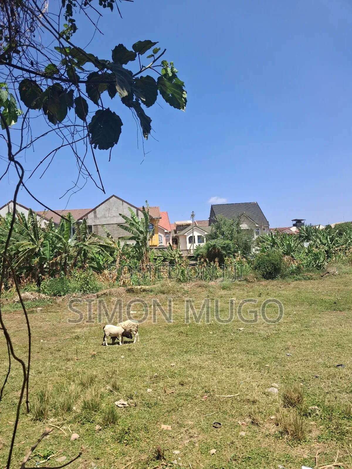 Kasarani Icipe Opposite Police Station Prime 1/2 Acre in Kasarani