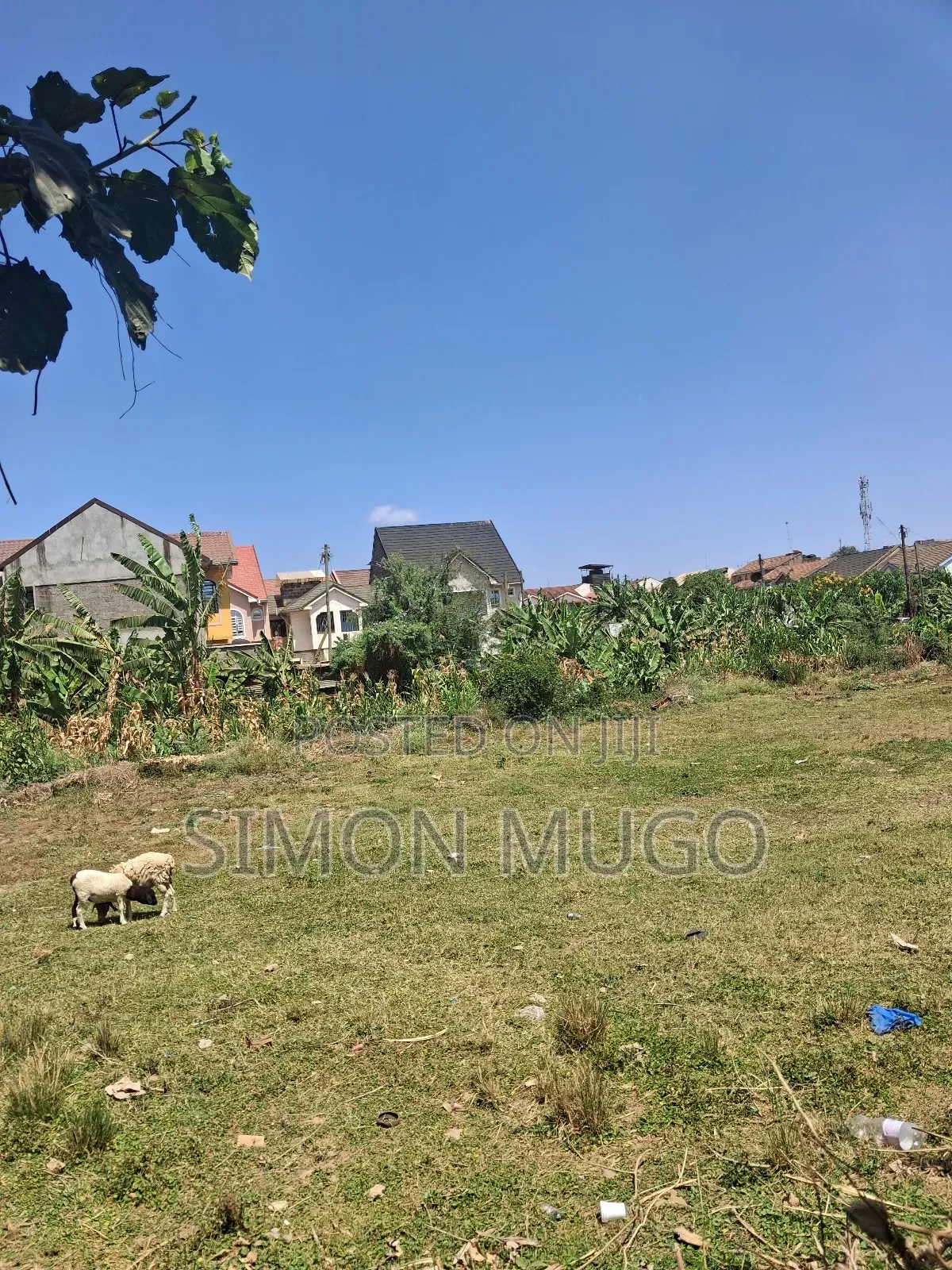 Kasarani Icipe Opposite Police Station Prime 1/2 Acre in Kasarani