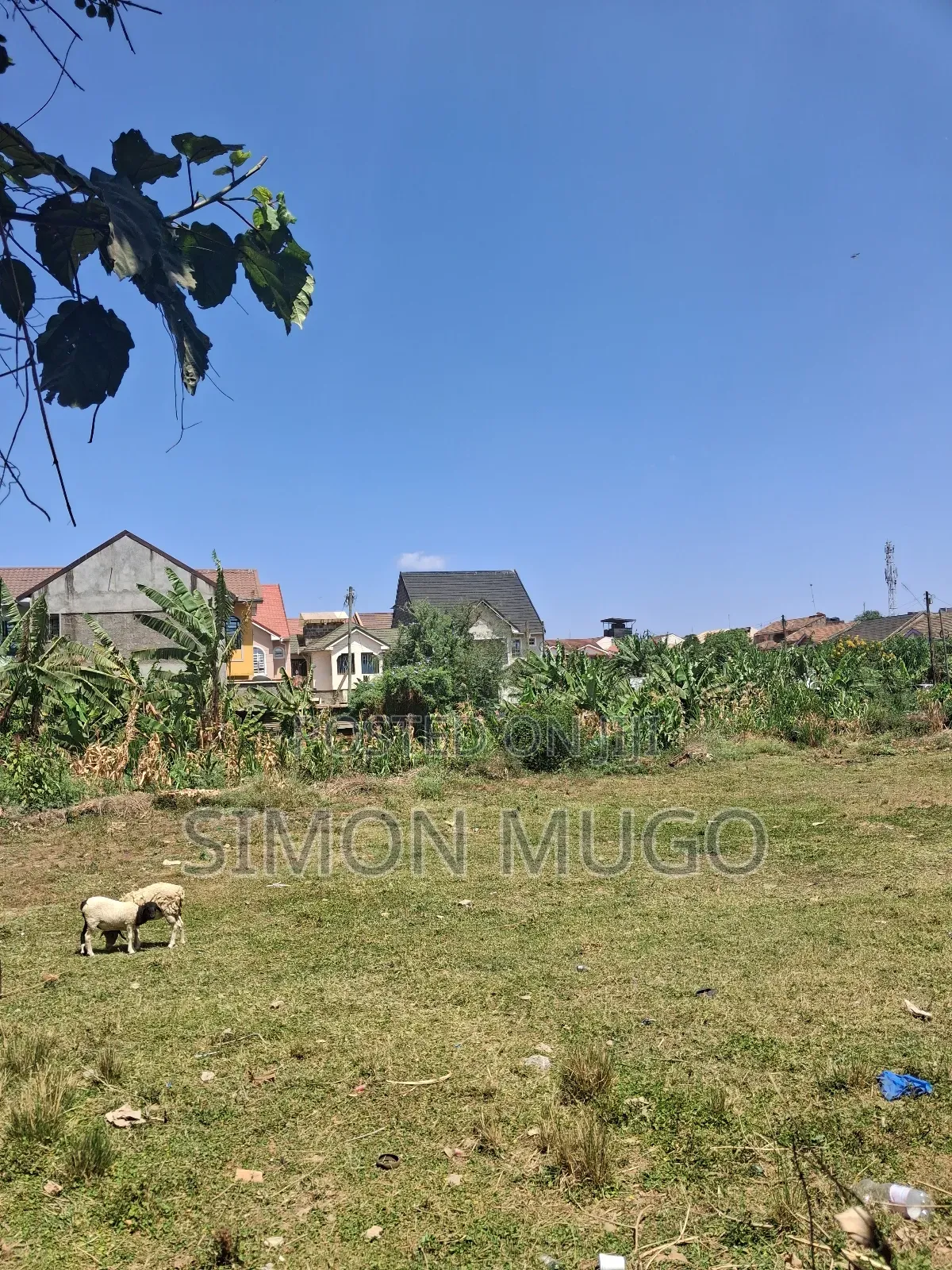 Kasarani Icipe Opposite Police Station Prime 1/2 Acre in Kasarani