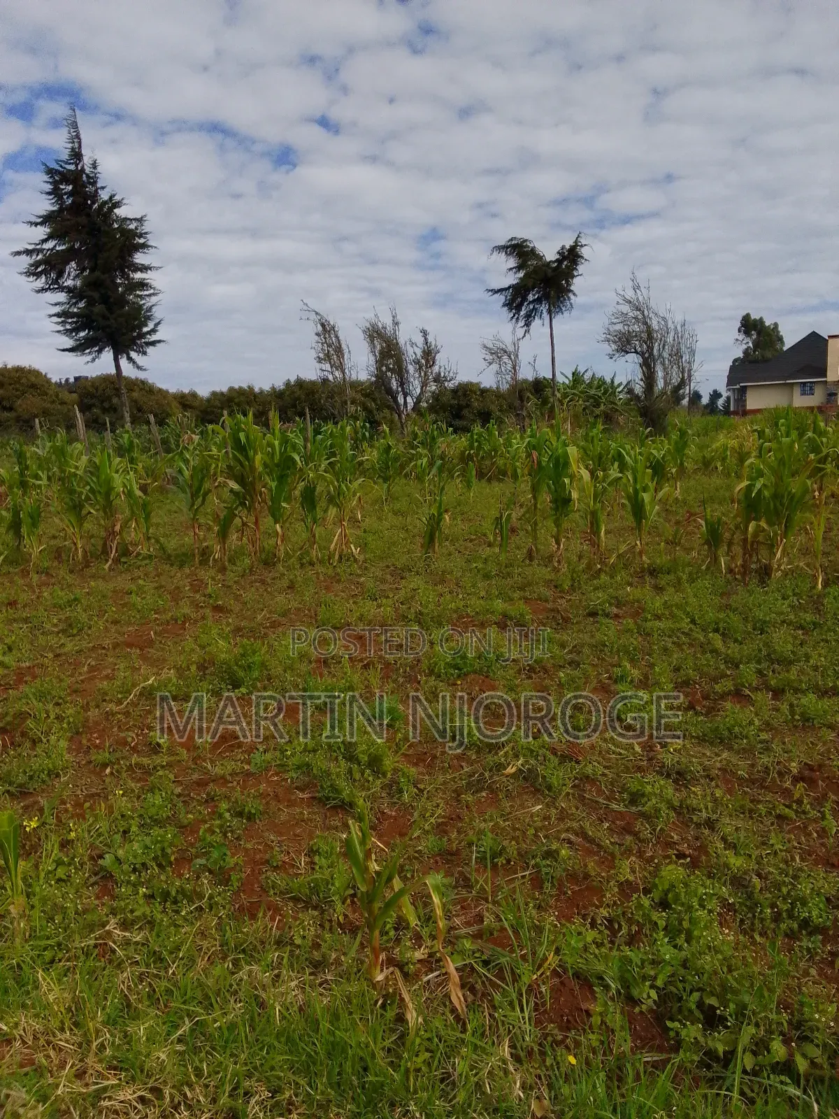 3 Acre Murengeti, Limuru in Bibirioni