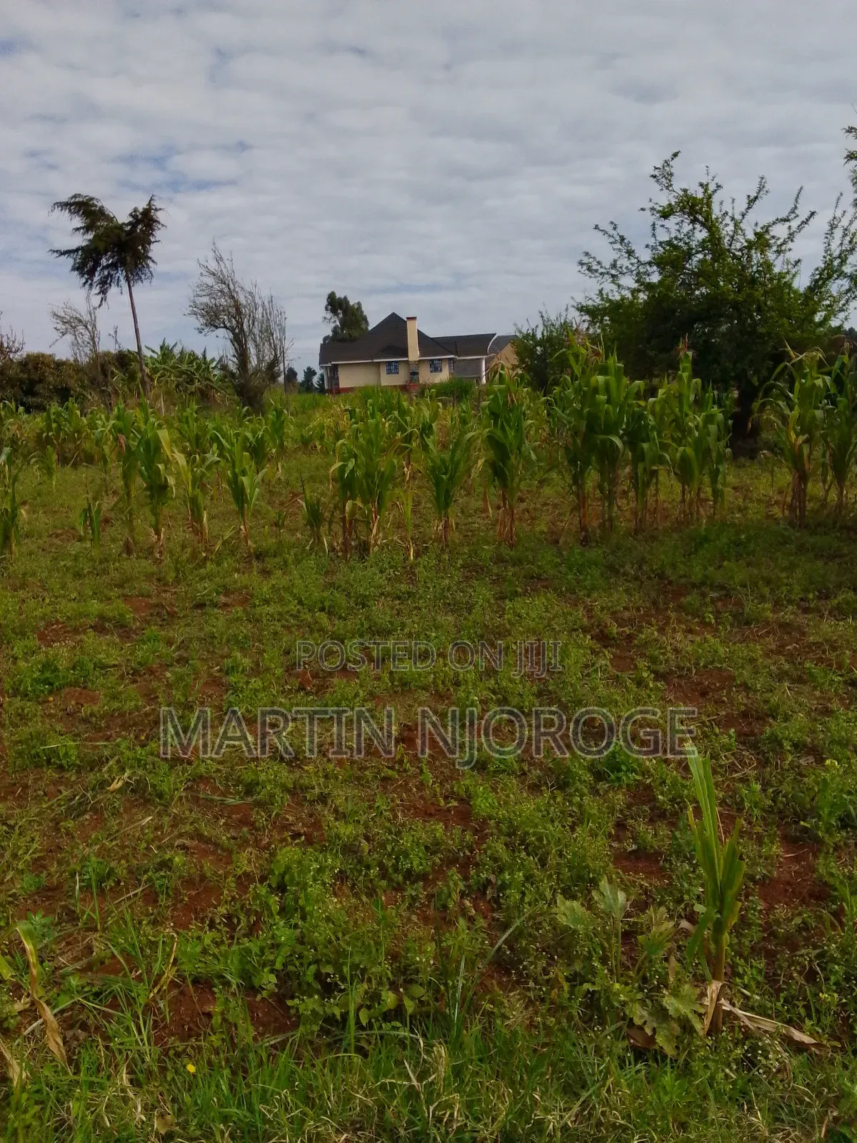 3 Acre Murengeti, Limuru in Bibirioni