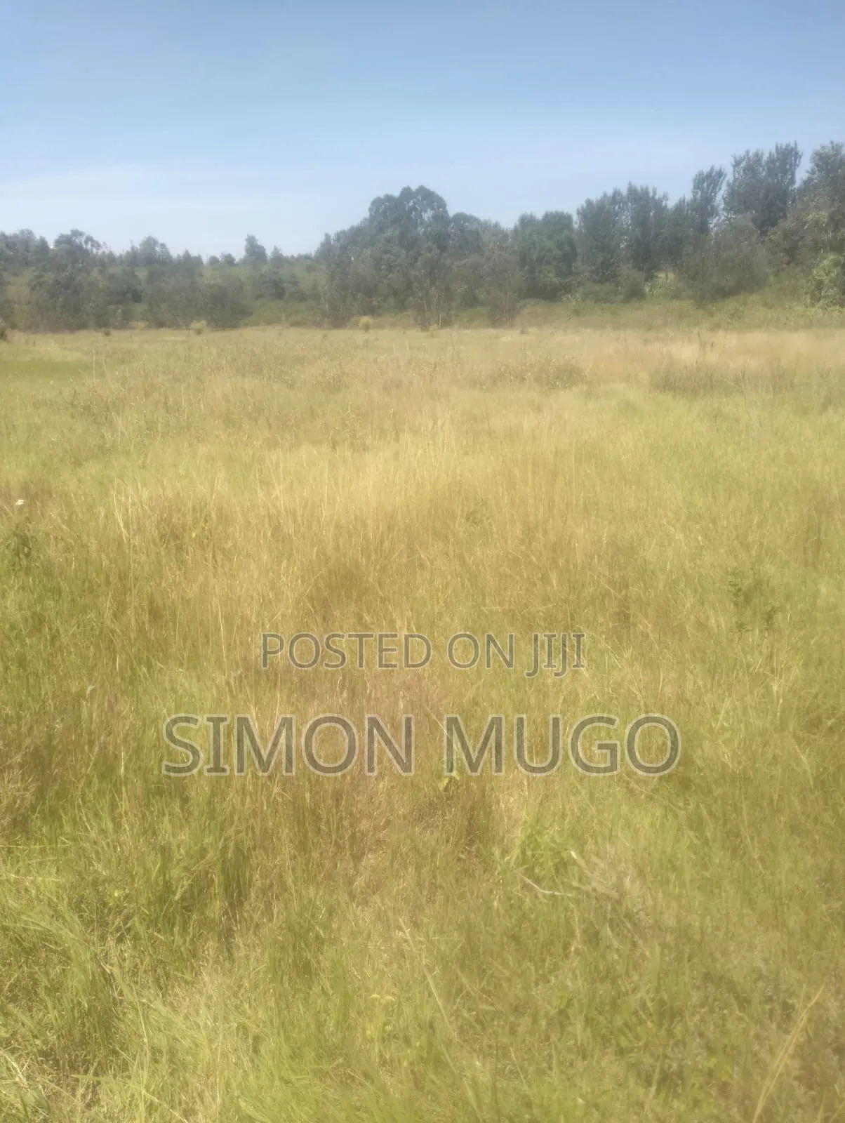 Muranga Maragua Prime 15 Acre Quick Sale 5.5 Millions Per Acre in Ichagaki