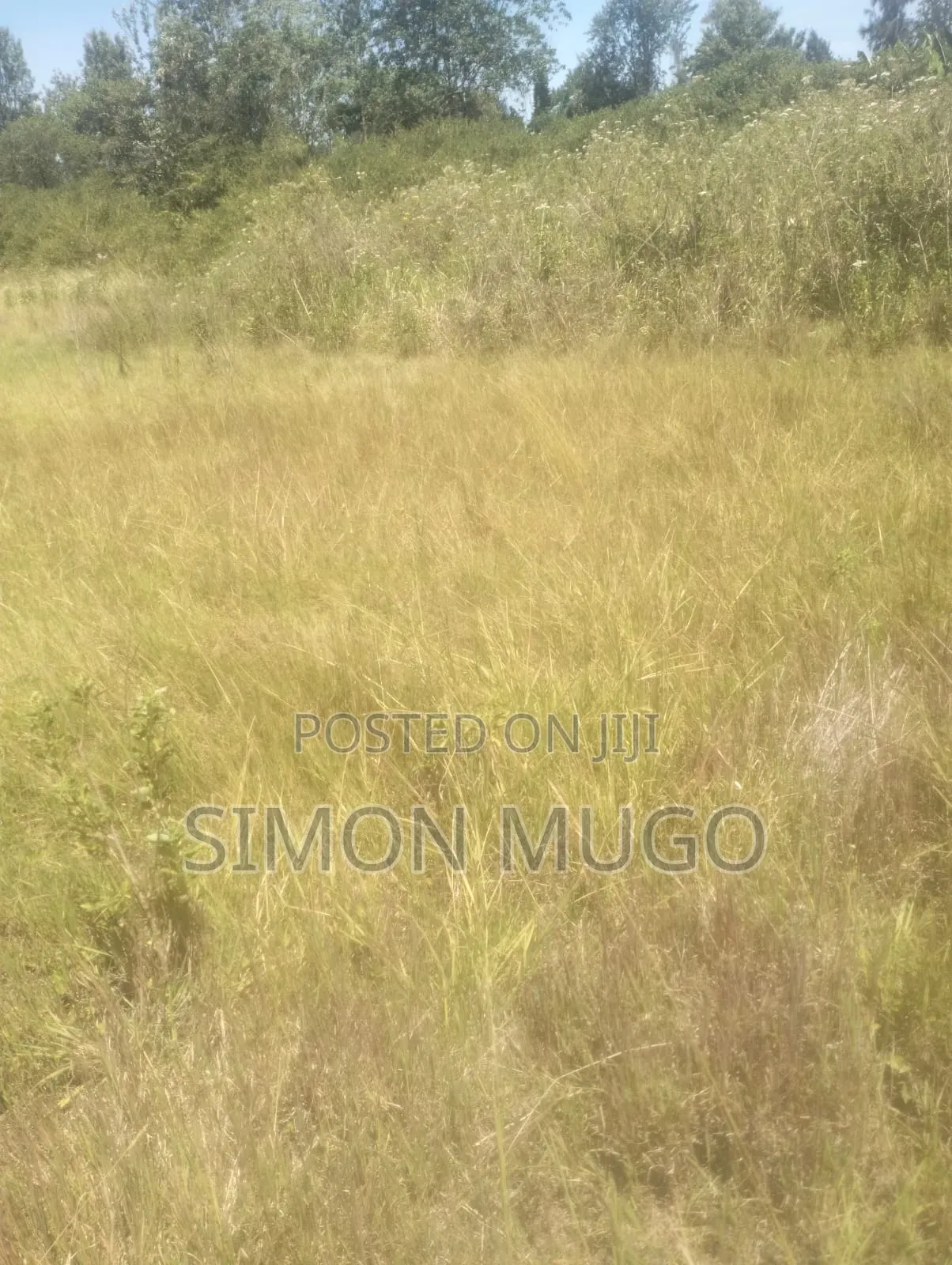 Muranga Maragua Prime 15 Acre Quick Sale 5.5 Millions Per Acre in Ichagaki