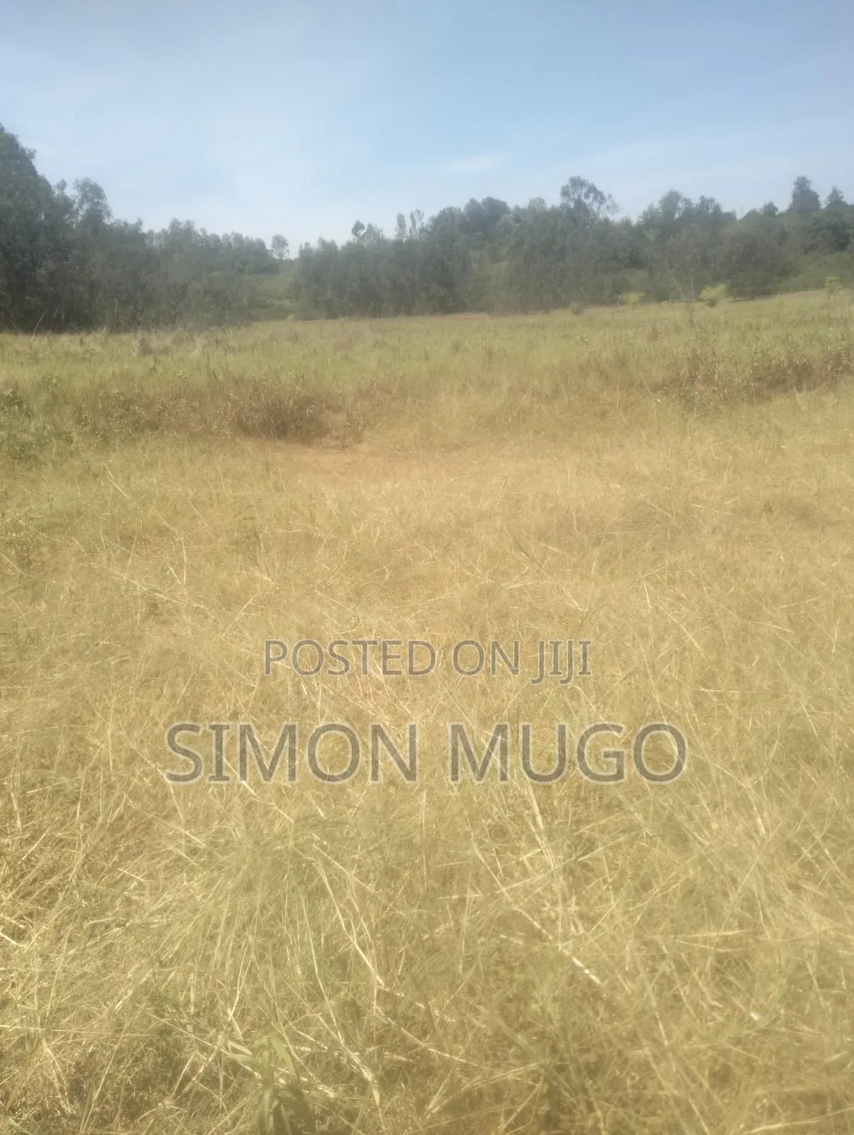 Muranga Maragua Prime 15 Acre Quick Sale 5.5 Millions Per Acre in Ichagaki