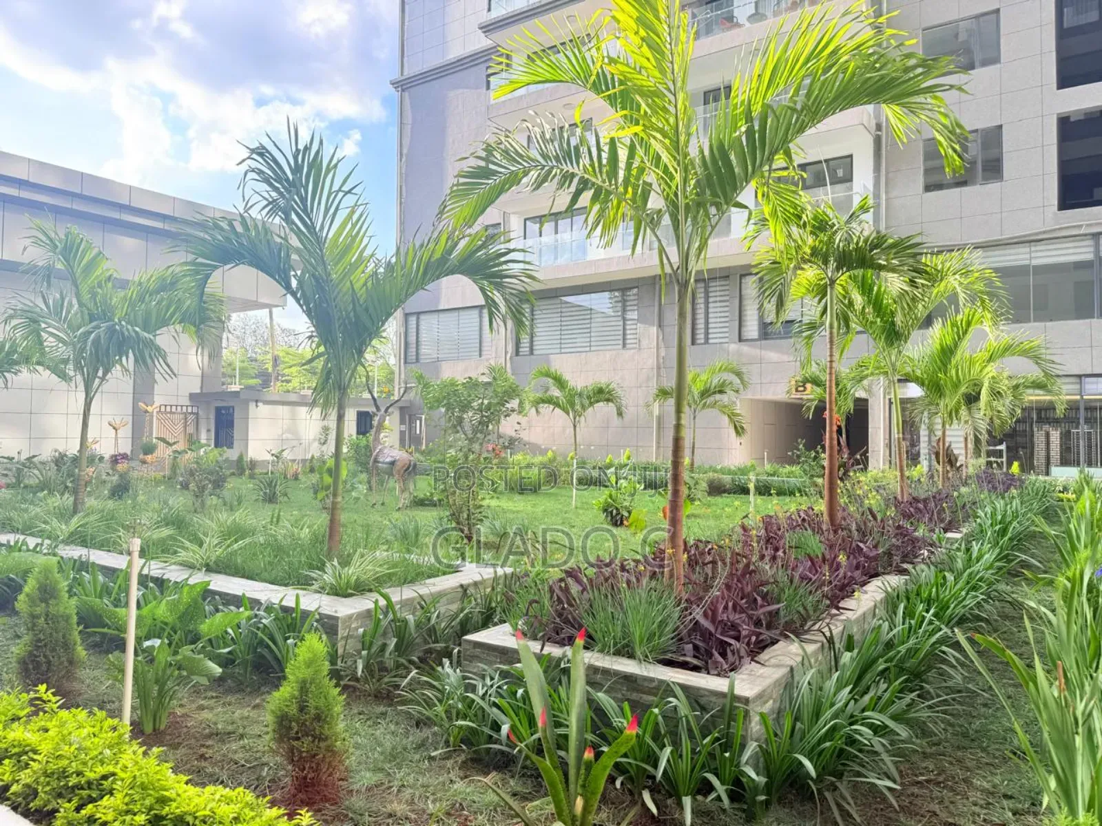 Alina Ridge Studio in Nairobi Central