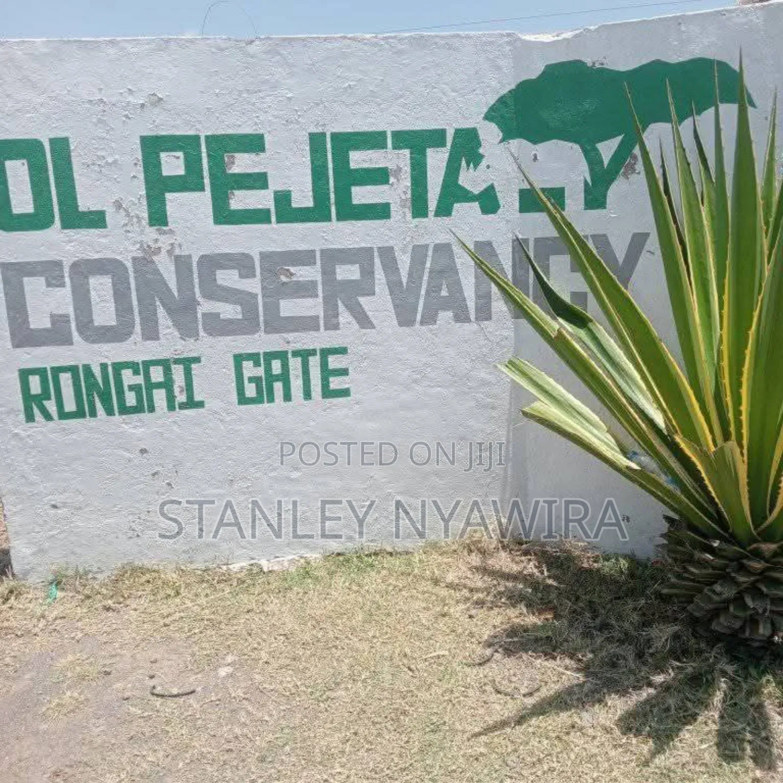 Half Acrea Sweetwater Near Olopajete Gatte in Laikipia East