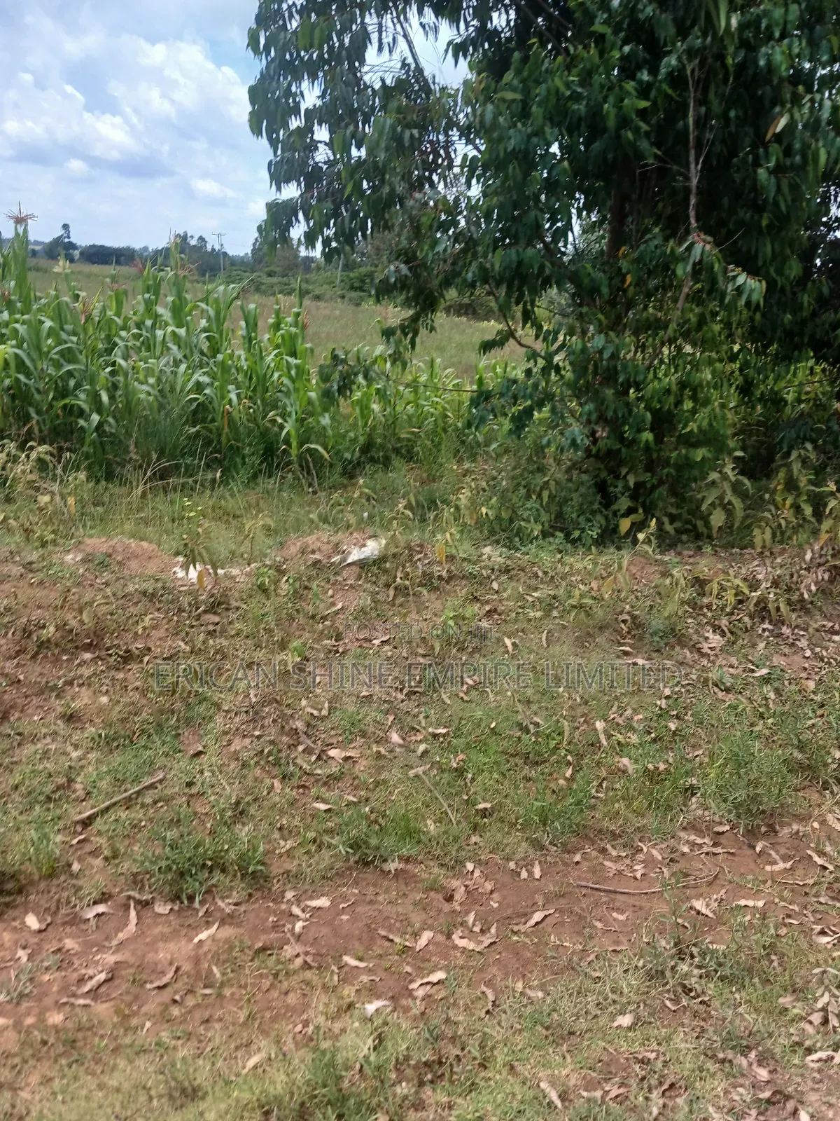 2 Acres Prime Land for Sale in Nyahururu / Nyeri Highway in Nyahururu