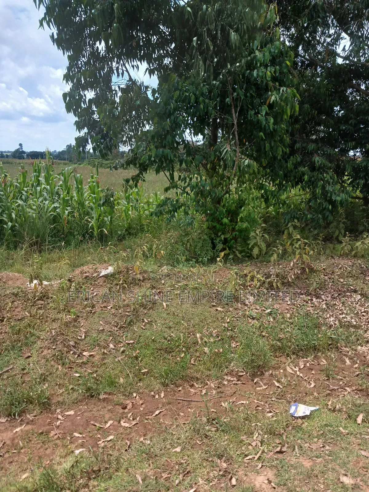 2 Acres Prime Land for Sale in Nyahururu / Nyeri Highway in Nyahururu