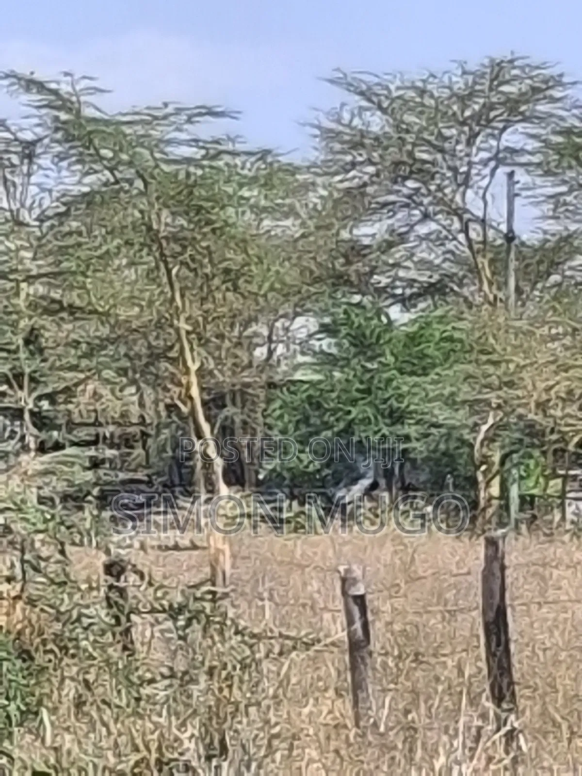 Isinya Township Prime Commercial 10ac Opposite Total Petrol Station in Isinya