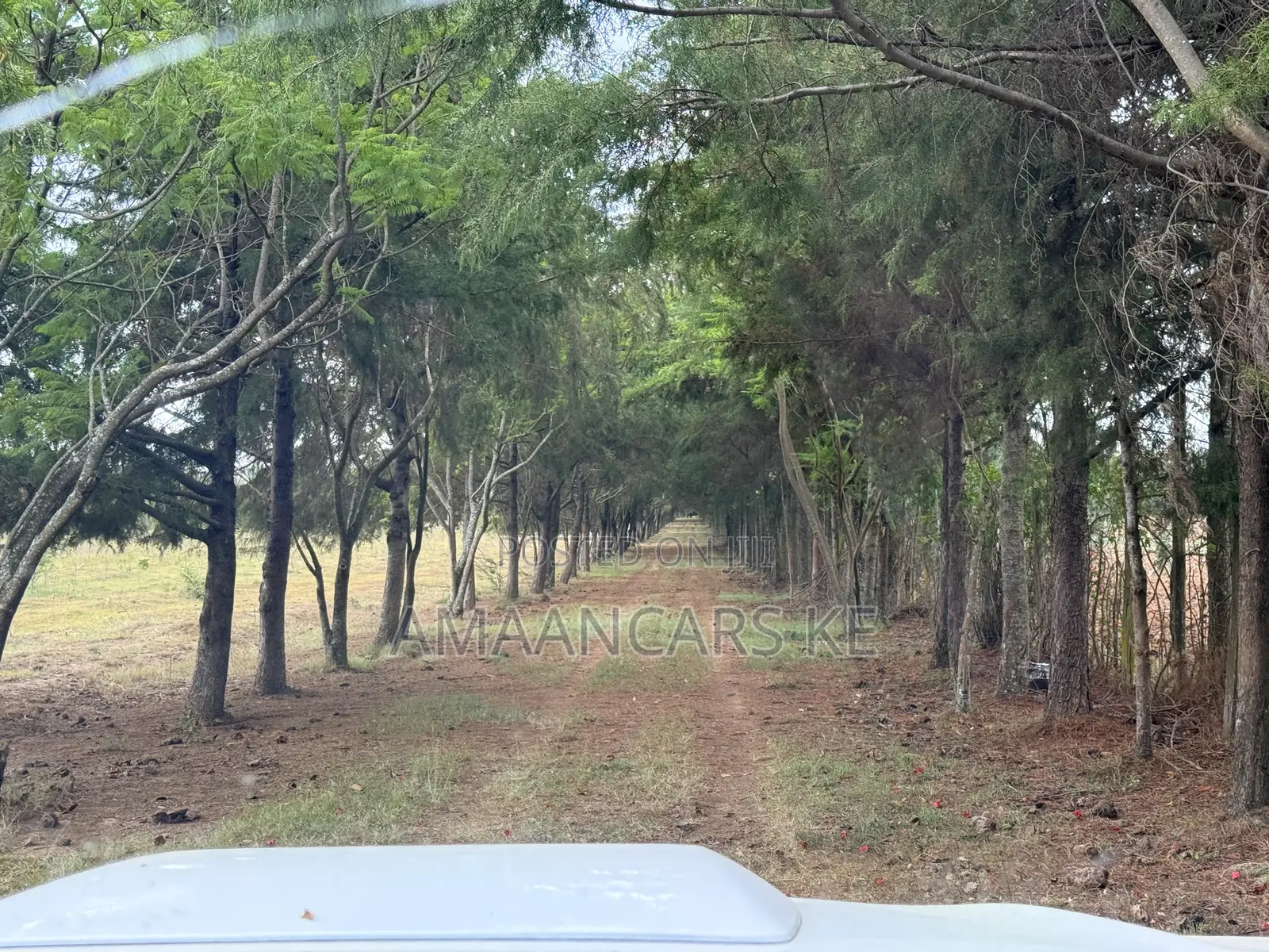 19-Acre Gorgeous Green Farm – 12km From Narok Town in Narok Town