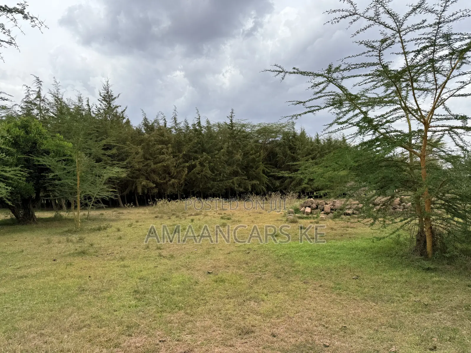 19-Acre Gorgeous Green Farm – 12km From Narok Town in Narok Town