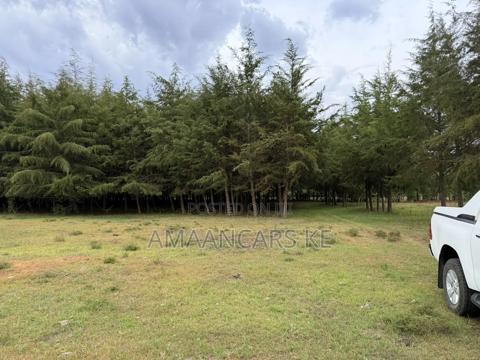 19-Acre Gorgeous Green Farm – 12km From Narok Town in Narok Town