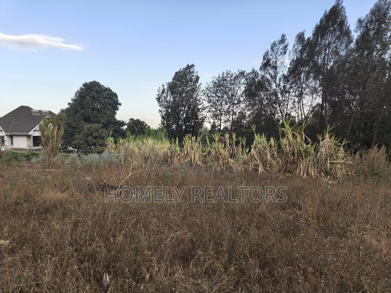 Eighth Acre Plot for Sale in Kerarapon Drive, Ngong in Gated Estate L in Kerarapon