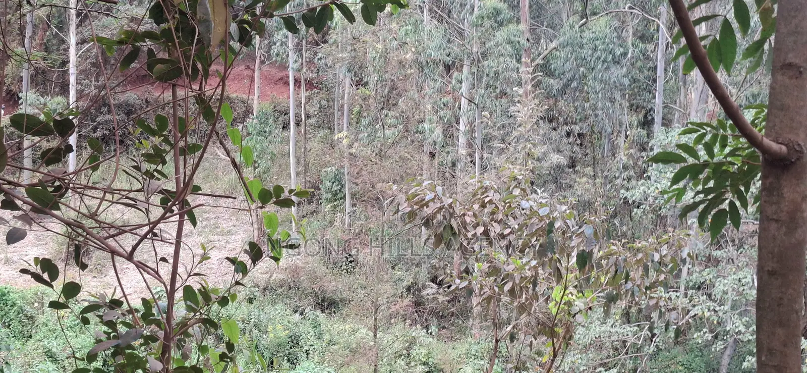 Prime 1-Acre Land for Sale: Kahara Road, Ngong in Matasia