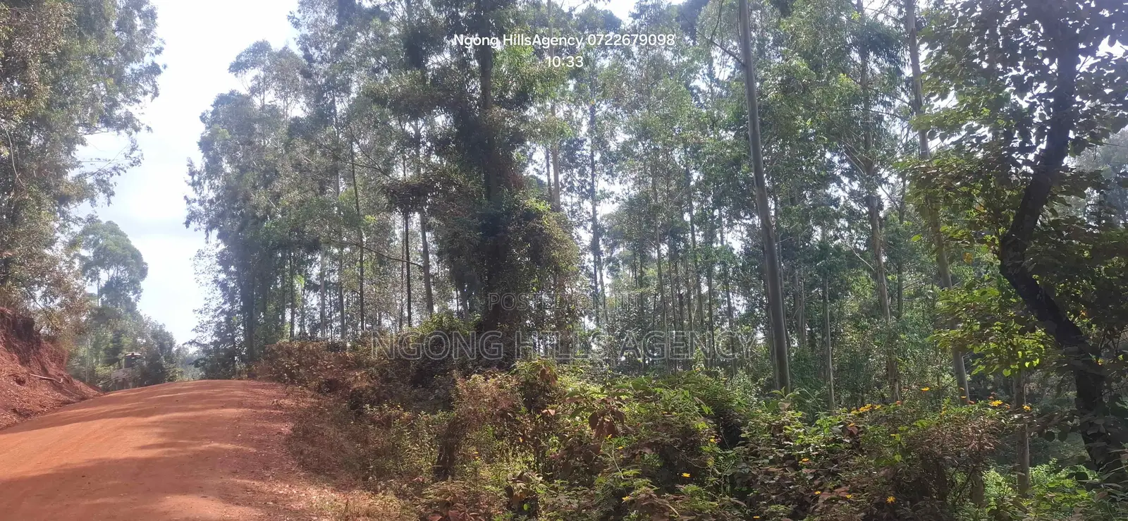 Prime 1-Acre Land for Sale: Kahara Road, Ngong in Matasia