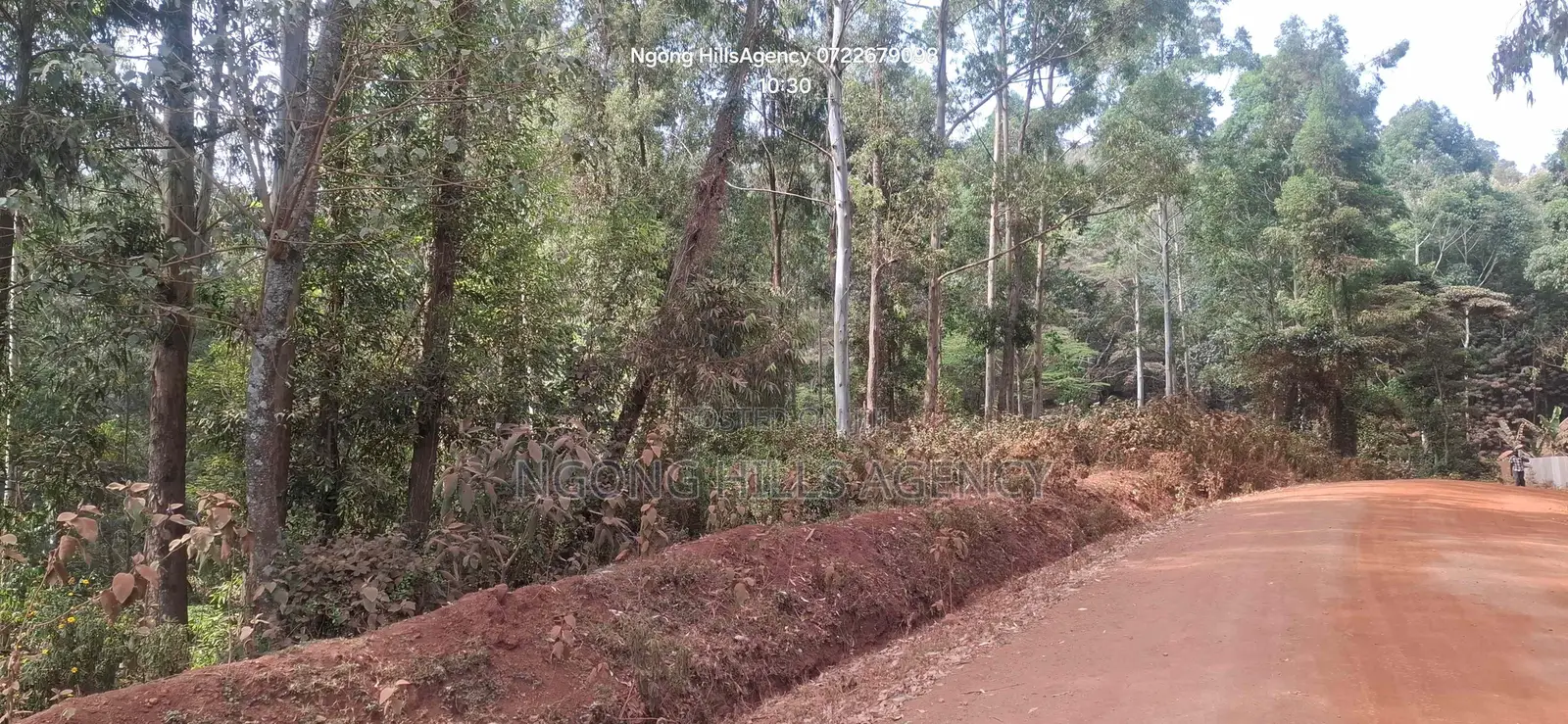 Prime 1-Acre Land for Sale: Kahara Road, Ngong in Matasia