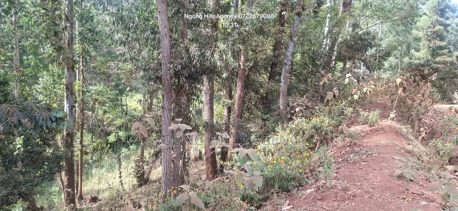 Prime 1-Acre Land for Sale: Kahara Road, Ngong in Matasia