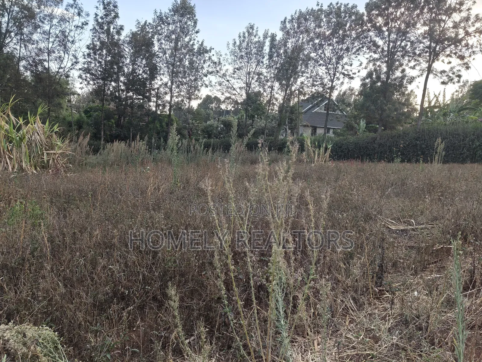 Eighth Acre Plot for Sale in Kerarapon Drive, With 2 Access Roads in Kerarapon