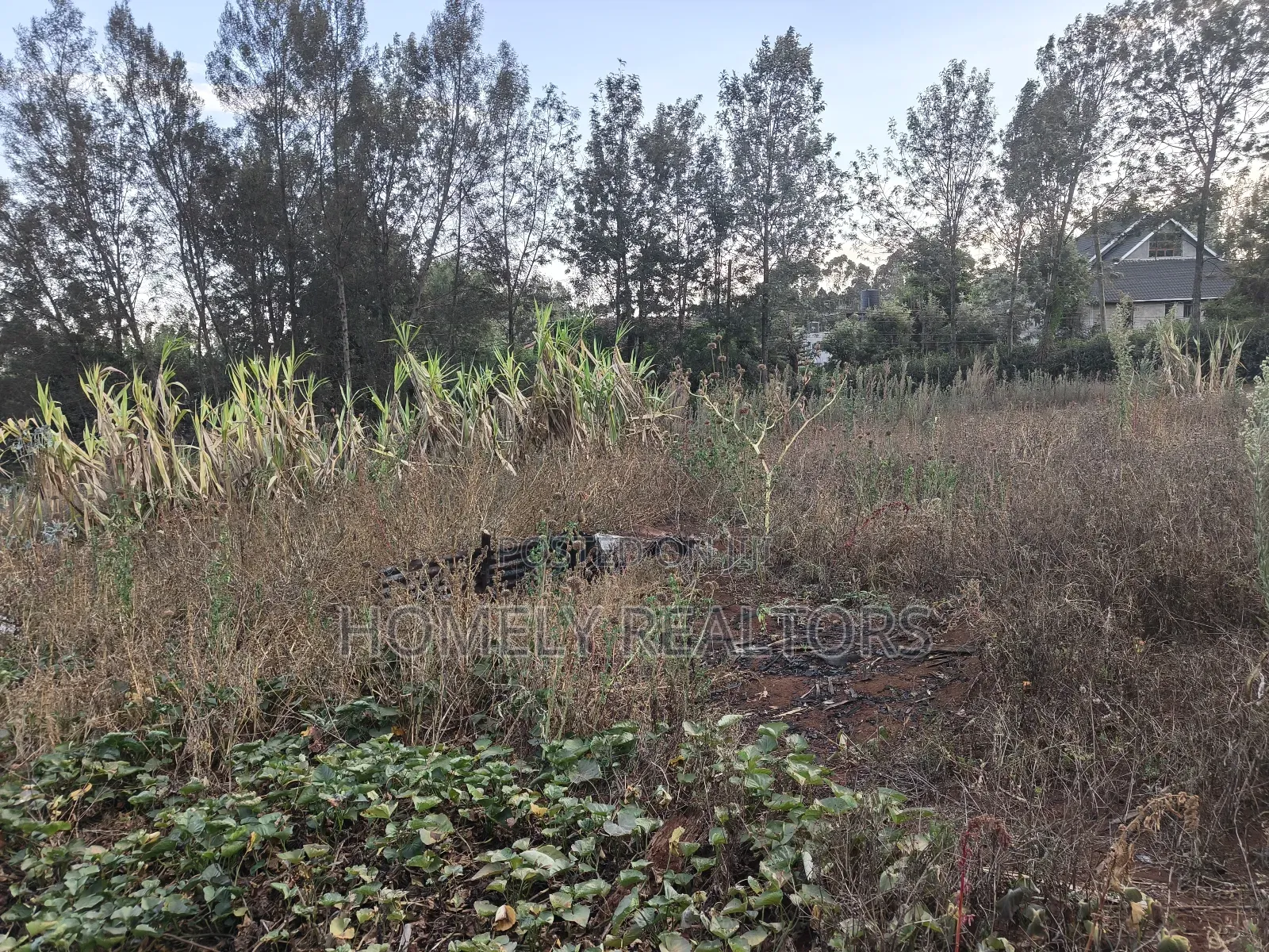 Eighth Acre Plot for Sale in Kerarapon Drive, With 2 Access Roads in Kerarapon