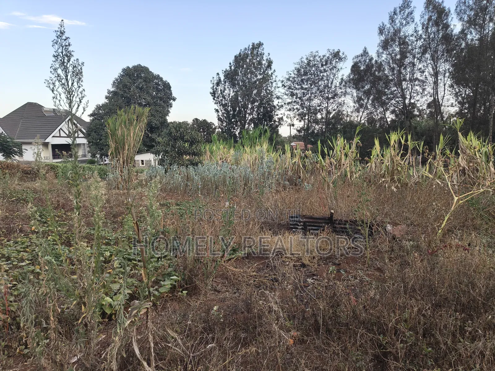 Eighth Acre Plot for Sale in Kerarapon Drive, With 2 Access Roads in Kerarapon