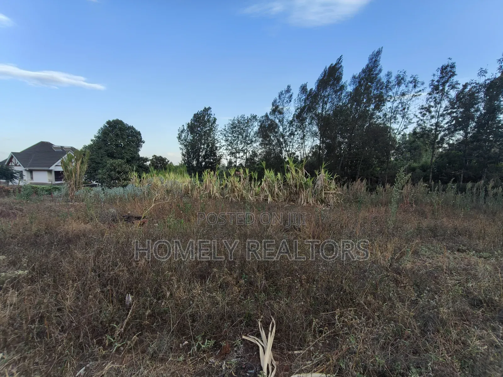 Residential Quarter Acre Plot for Sale in Kerarapon Drive, Ngong in Kerarapon