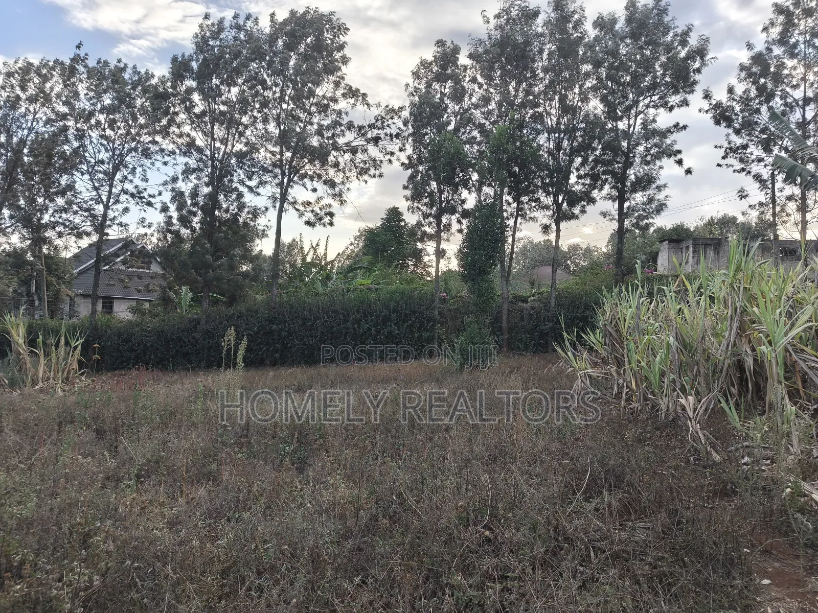 Residential Quarter Acre Plot for Sale in Kerarapon Drive, Ngong in Kerarapon