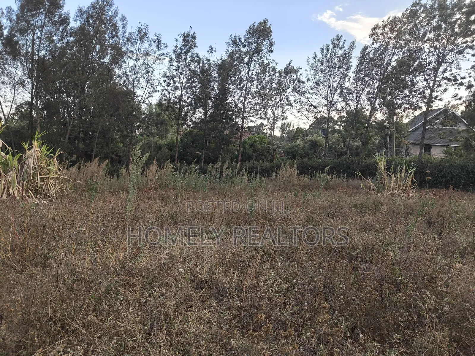 Residential Quarter Acre Plot for Sale in Kerarapon Drive, Ngong in Kerarapon