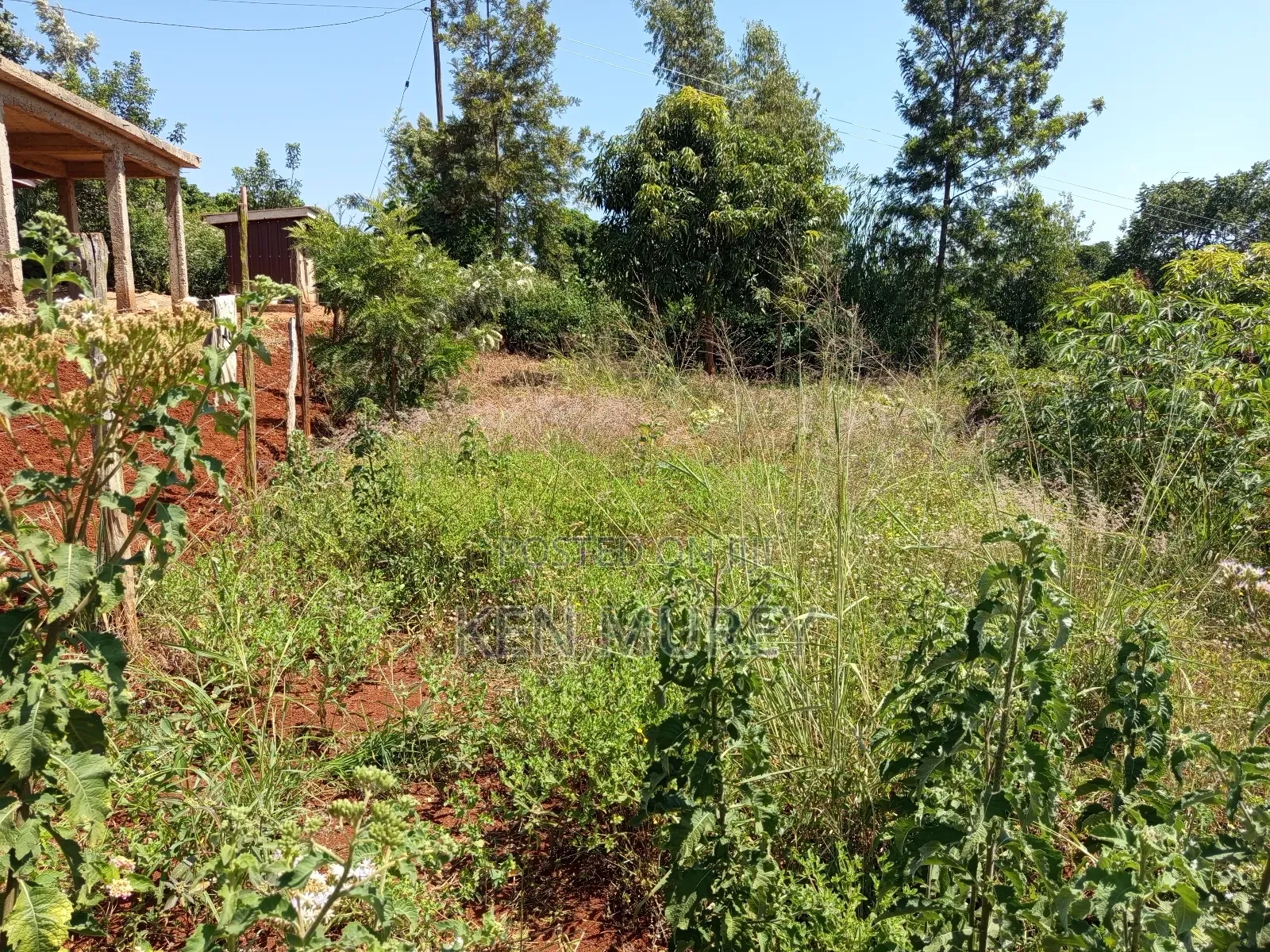 50x100 Sagana Plot in Kiine