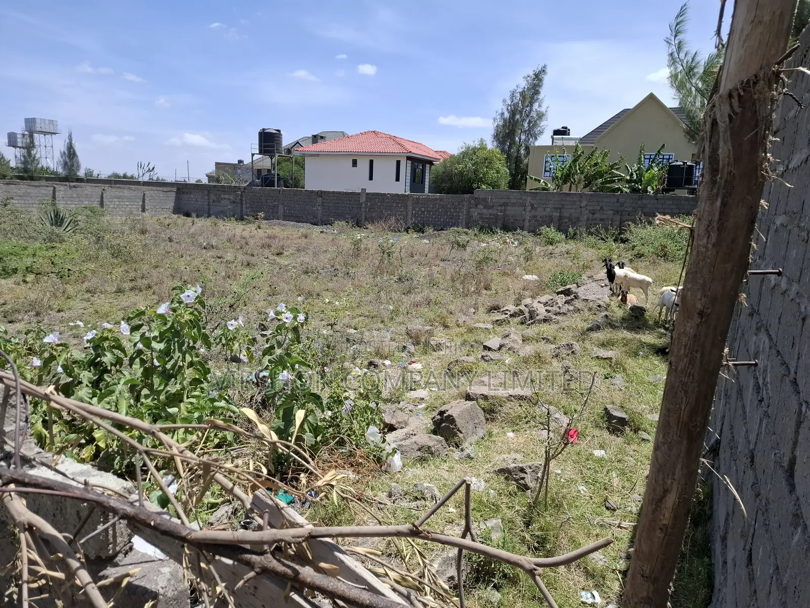 Prime Residential Plot 50 by 100 in Katani