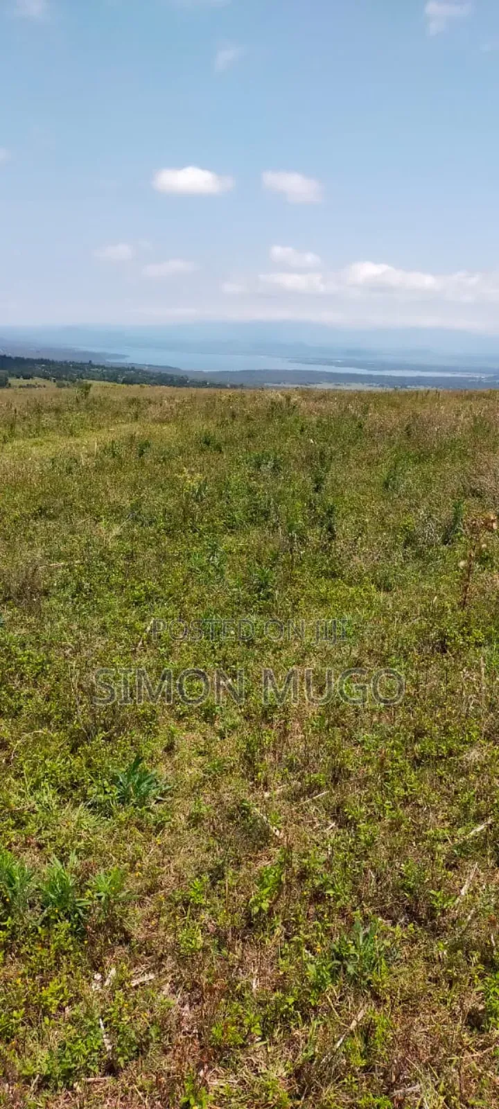 Nyandarua Ngorika Prime Agricultural 500 Acres in Central Ndaragwa