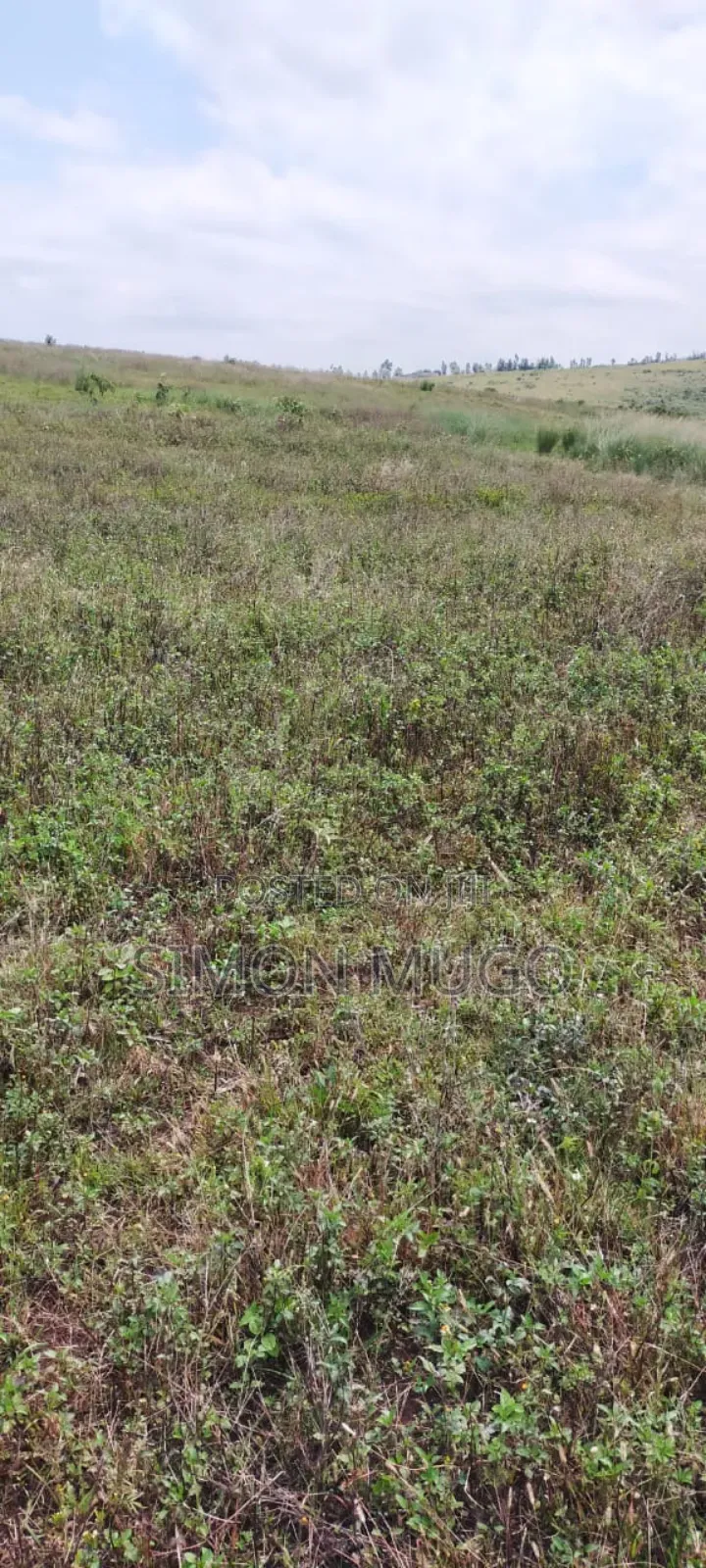 Nyandarua Ngorika Prime Agricultural 500 Acres in Central Ndaragwa