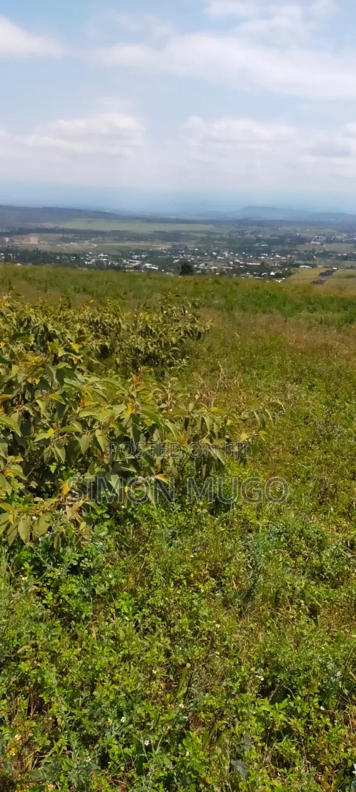 Nyandarua Ngorika Prime Agricultural 500 Acres in Central Ndaragwa