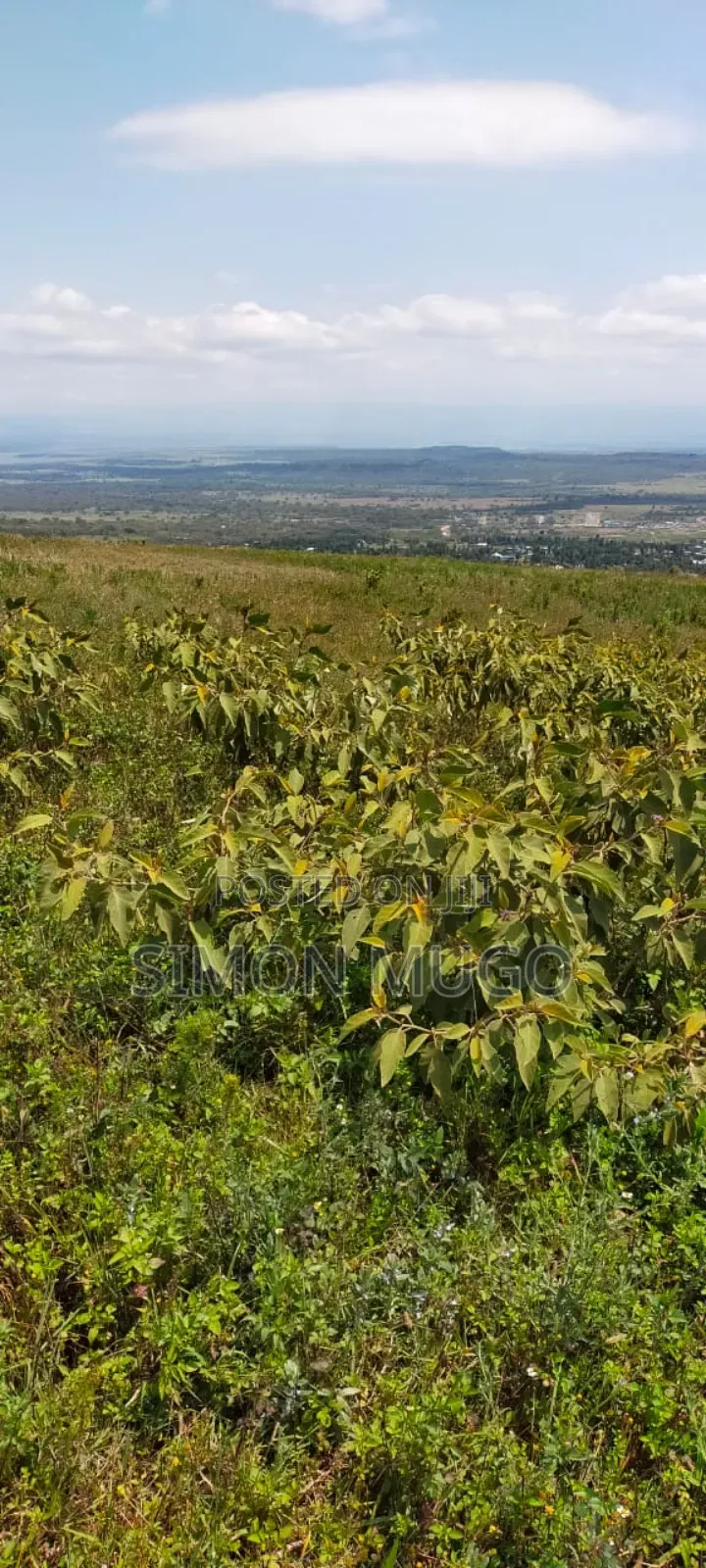 Nyandarua Ngorika Prime Agricultural 500 Acres in Central Ndaragwa