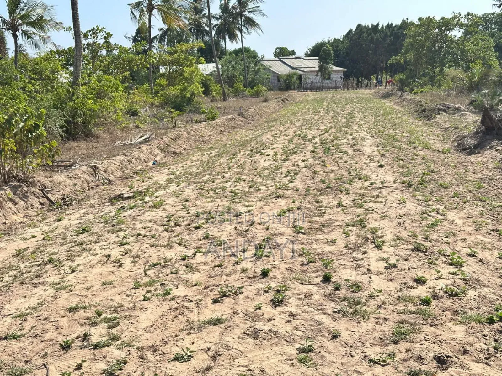 Dongo Kundu Prime Plots for Sale in Likoni