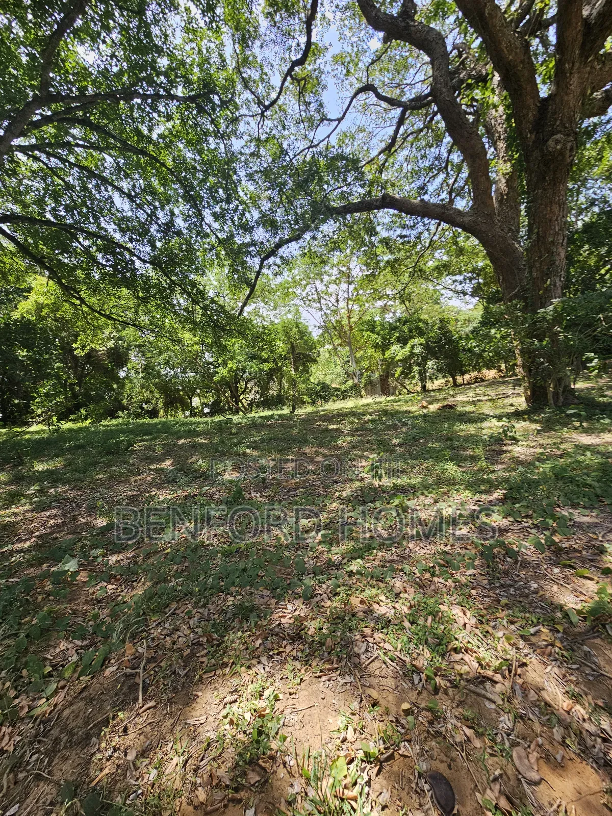 1 Acre Piece of Land on Sale Links Road Nyali by Benford Homes in Nyali
