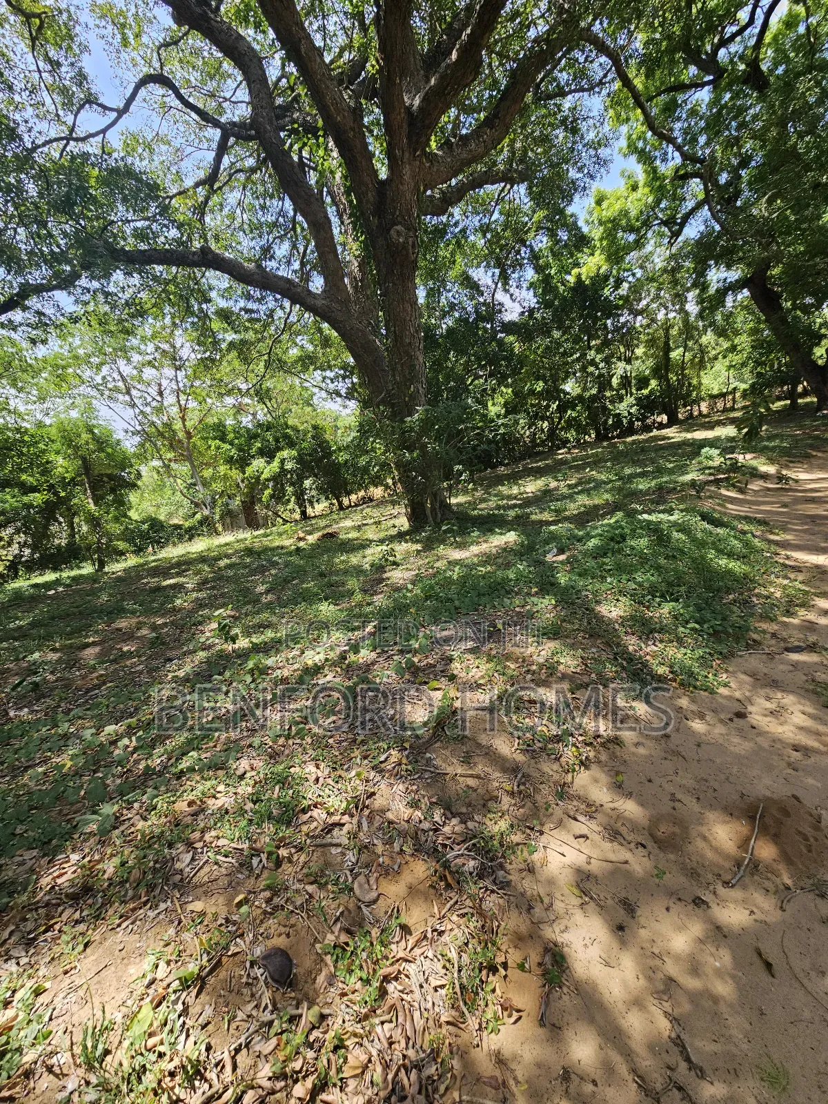 1 Acre Piece of Land on Sale Links Road Nyali by Benford Homes in Nyali