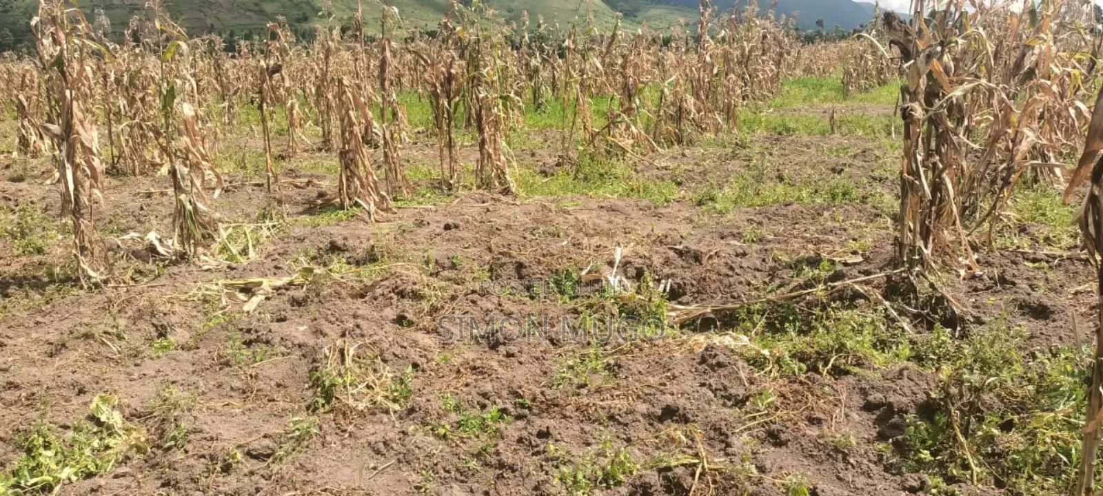 Isinya 72 Acres Ideal for Farming. It's Currently Under Irrigation in Isinya