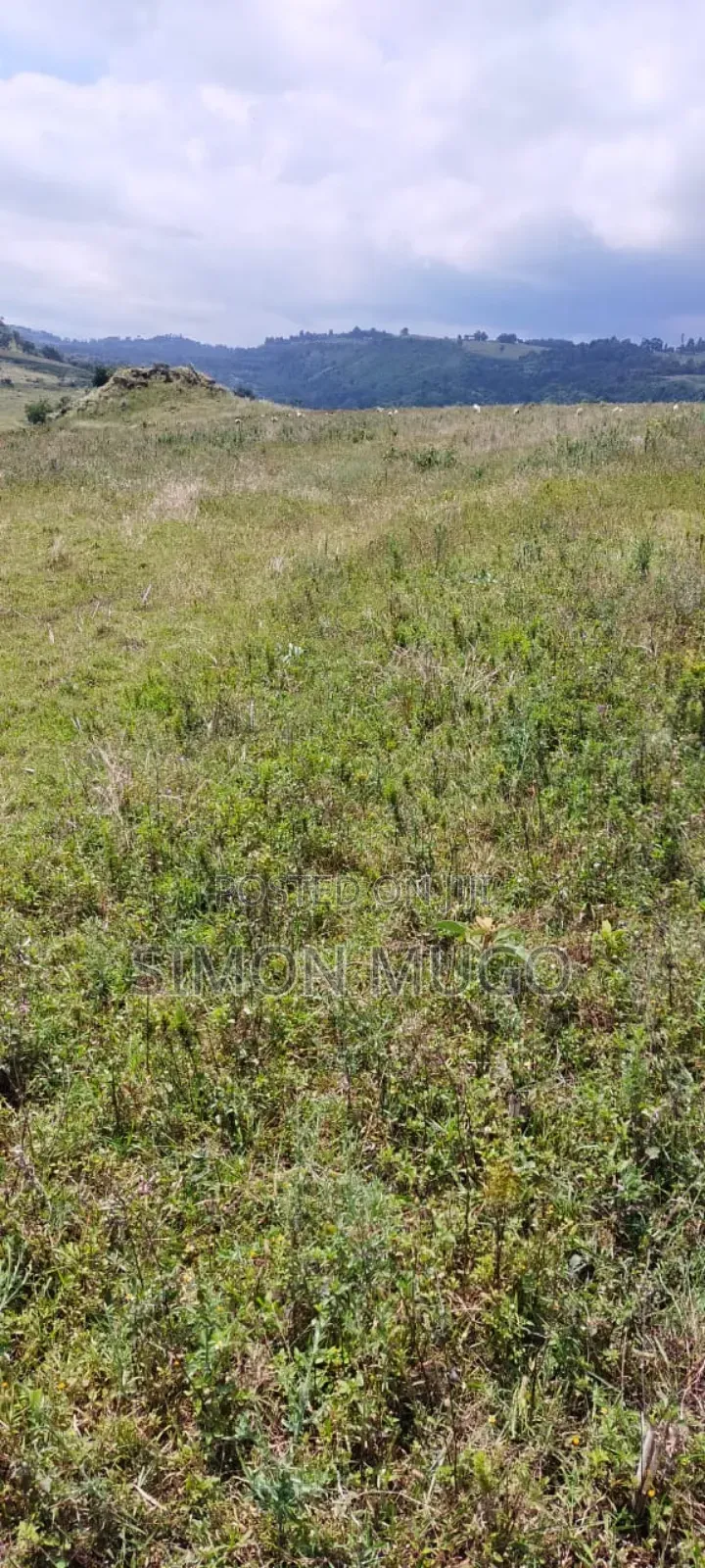 Isinya 72 Acres Ideal for Farming. It's Currently Under Irrigation in Isinya