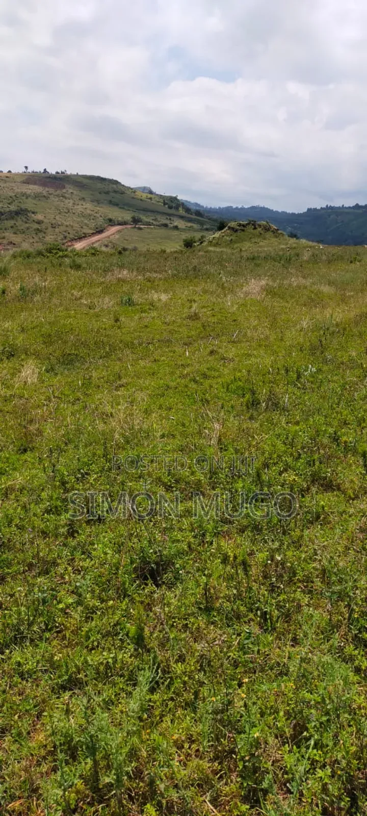 Isinya 72 Acres Ideal for Farming. It's Currently Under Irrigation in Isinya