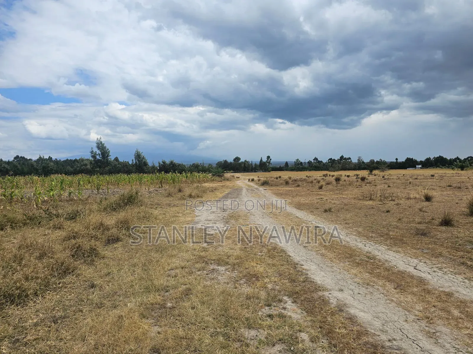 5 Acreas Behind Airstrip in Laikipia East