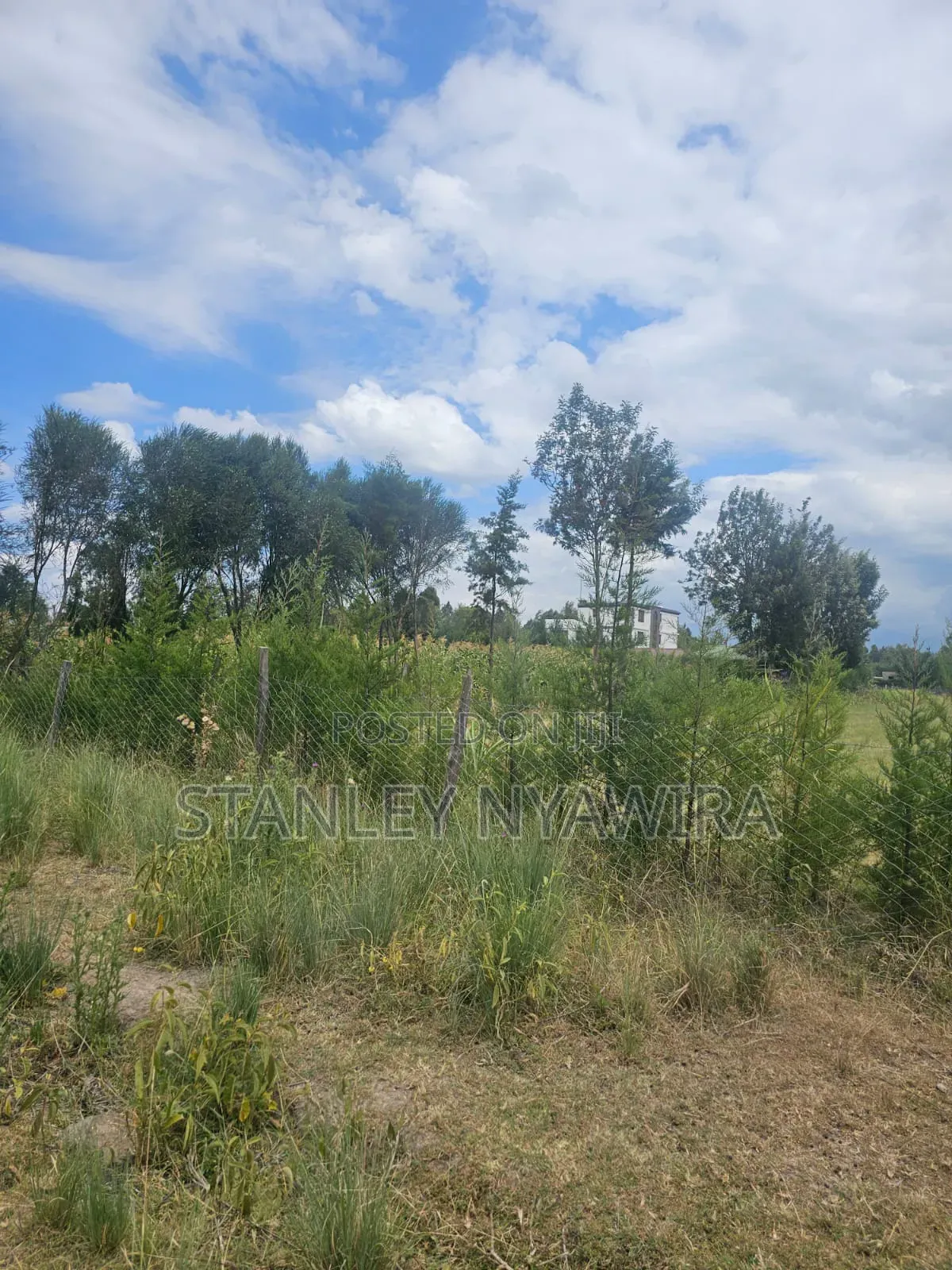 5 Acreas Behind Airstrip in Laikipia East