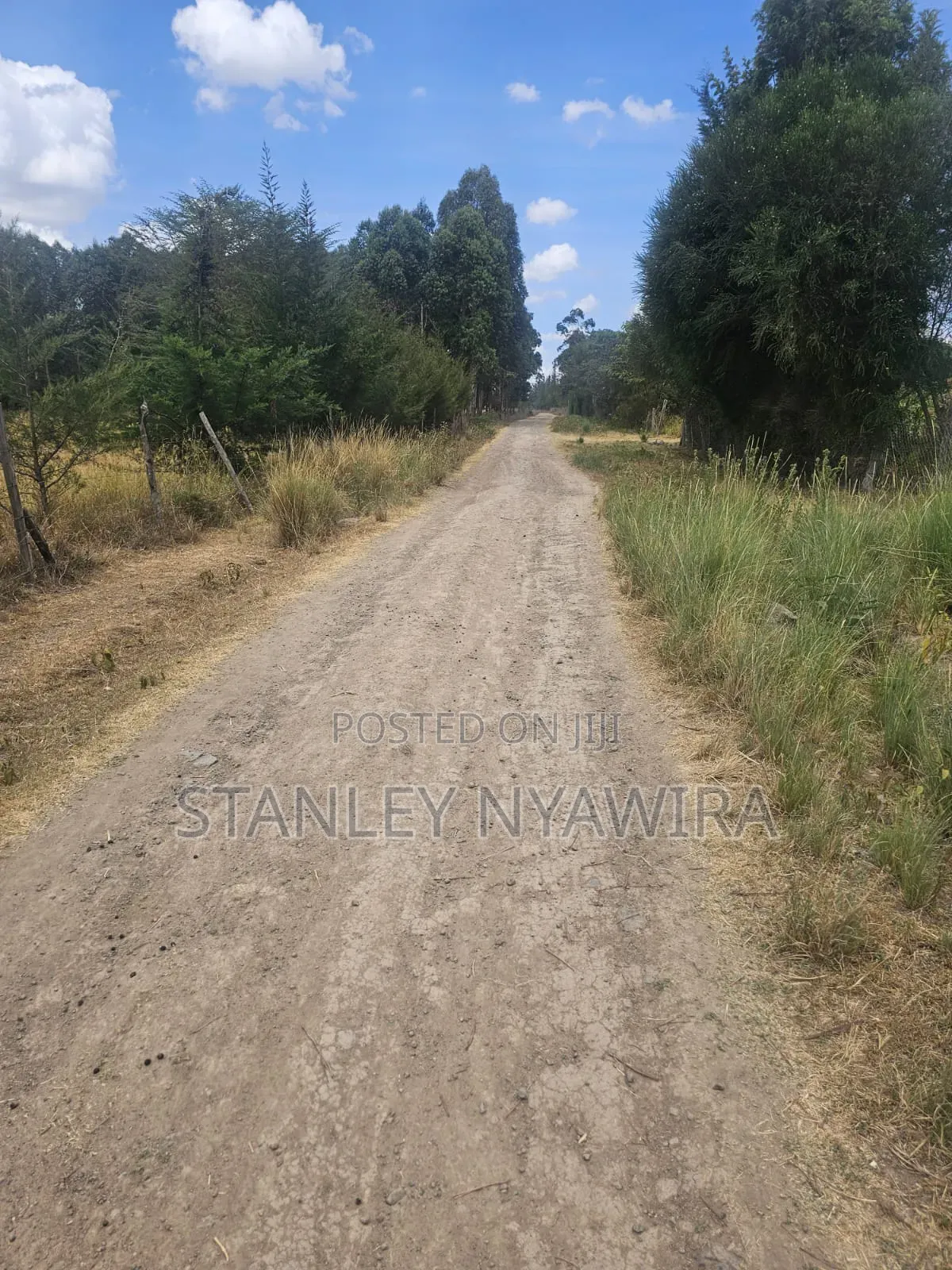 5 Acreas Behind Airstrip in Laikipia East