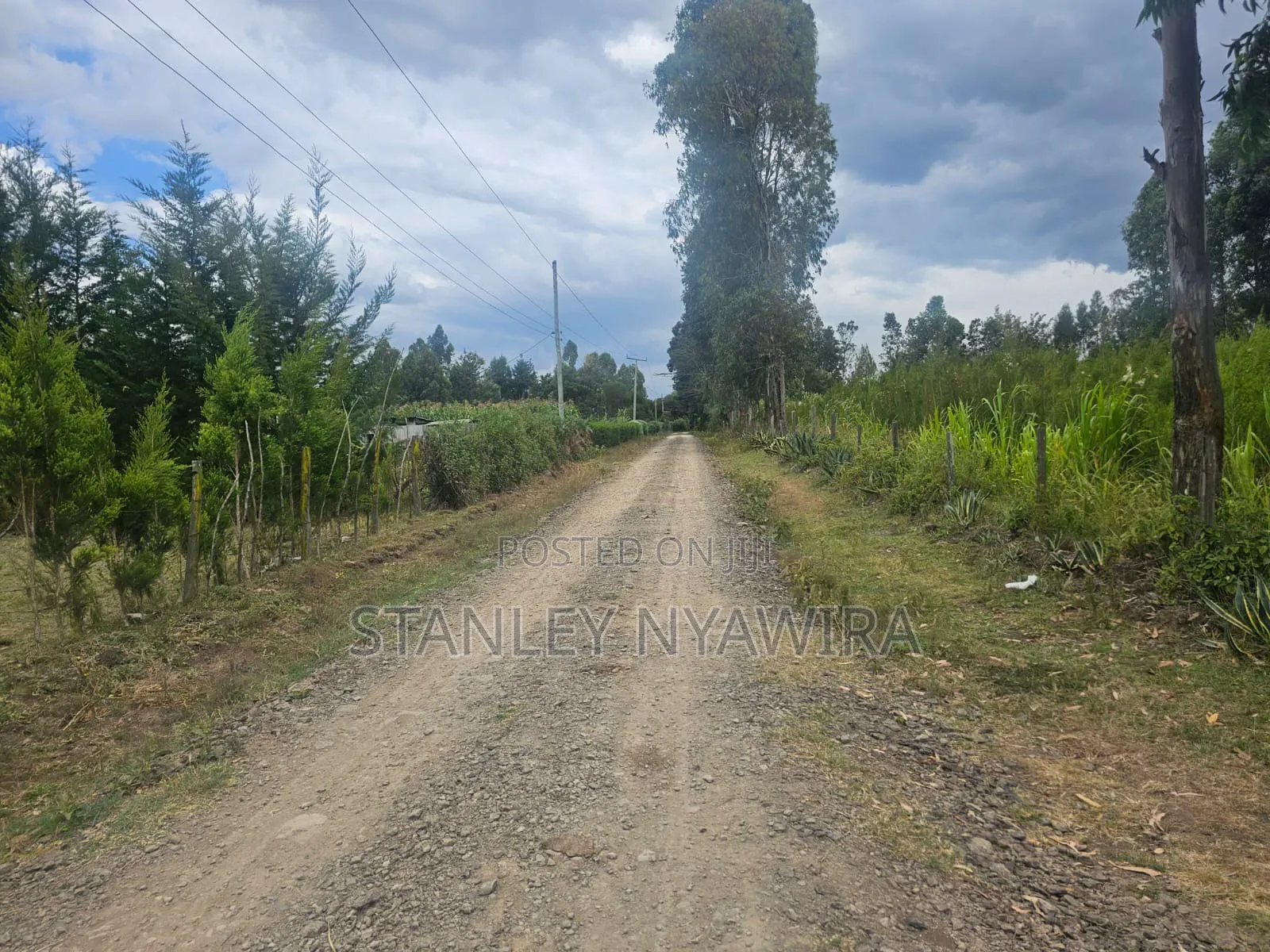 5 Acreas Behind Airstrip in Laikipia East