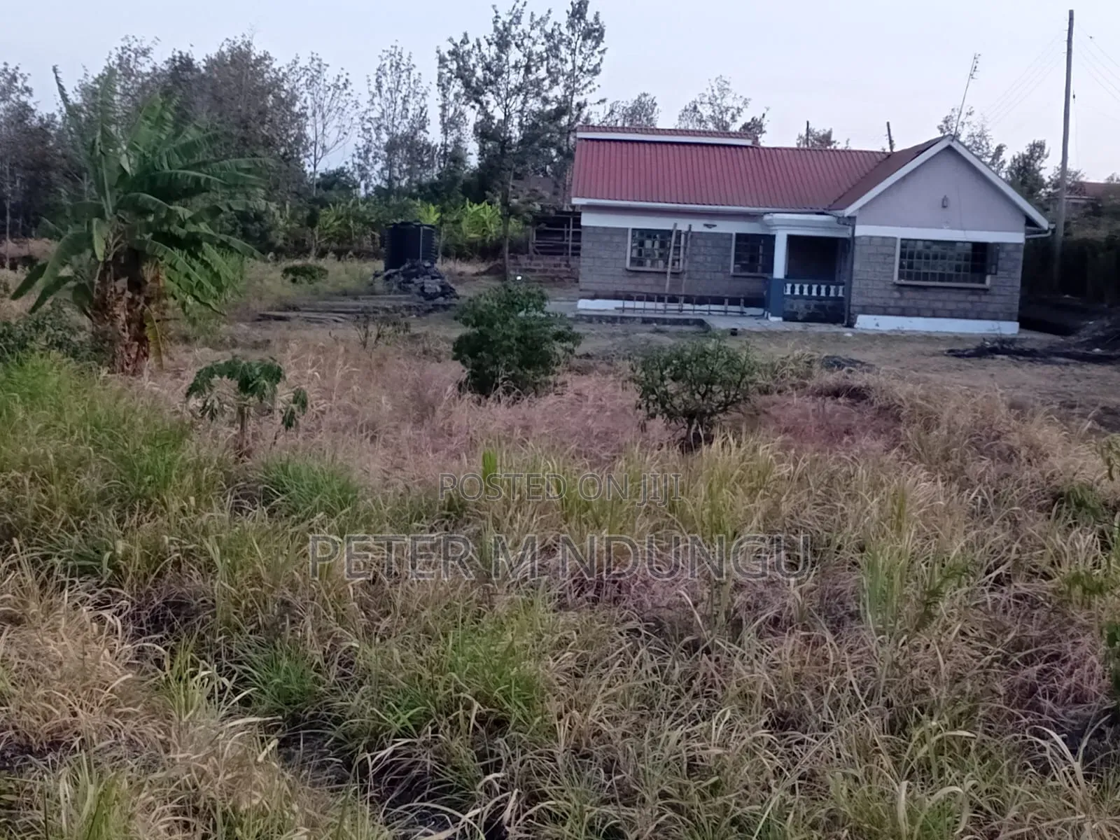 3bdrm Bungalow in Kenol, Makuyu for rent in Makuyu