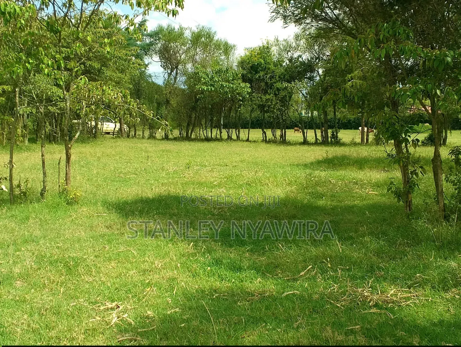 1/4 Plot for Sale Nanyuki Behind Peak View in Laikipia East