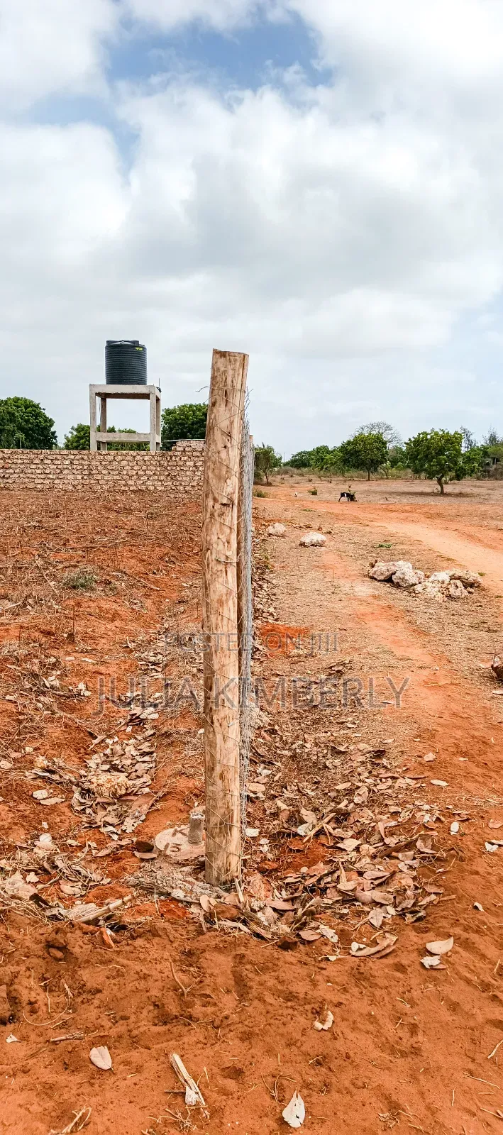 Affordable Bofa 50 by 100's in Kilifi North
